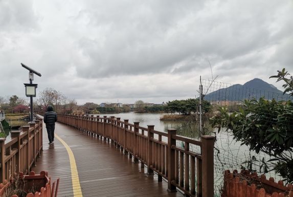 丁山湖风景区旅行图片 2