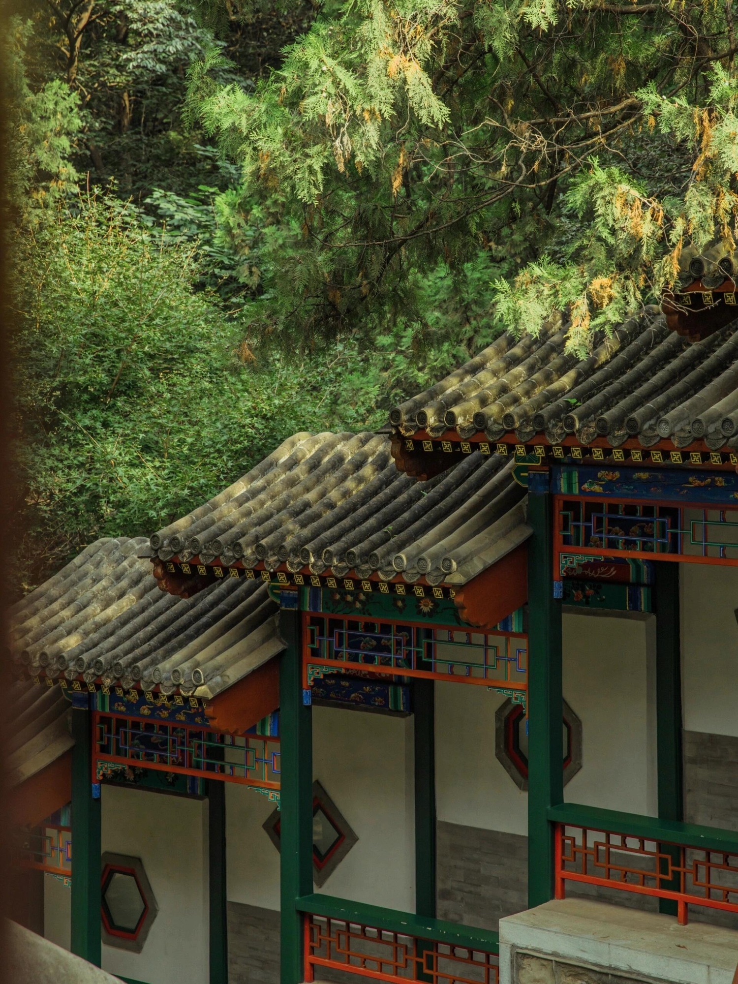 香山公园旅行图片 3