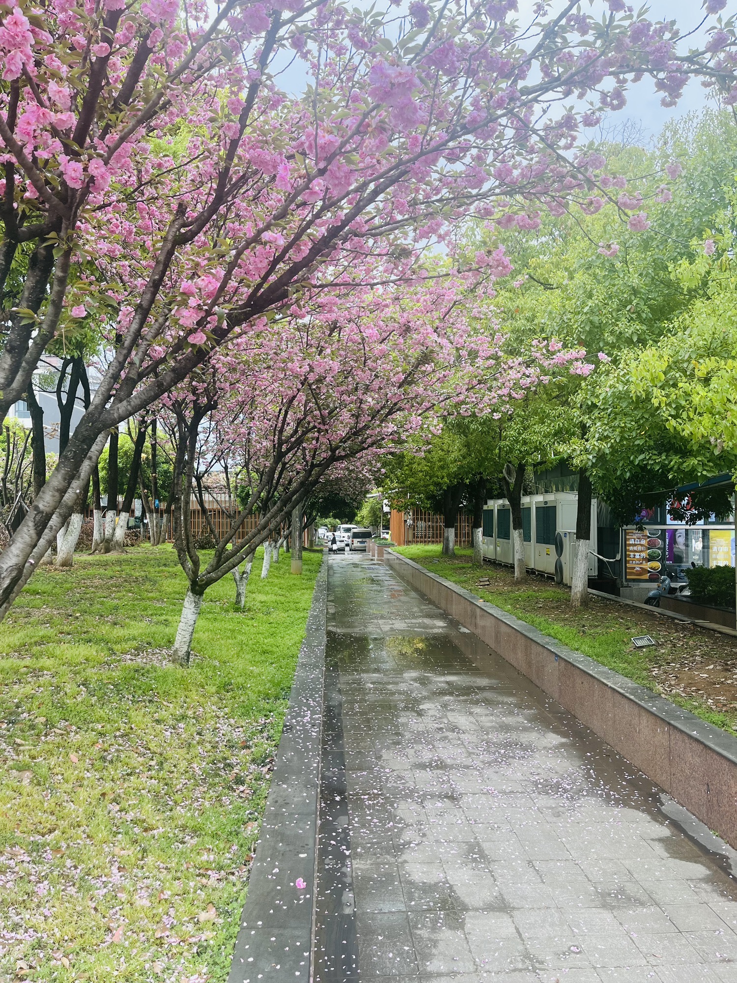 巫溪逍遥广场旅行图片 3