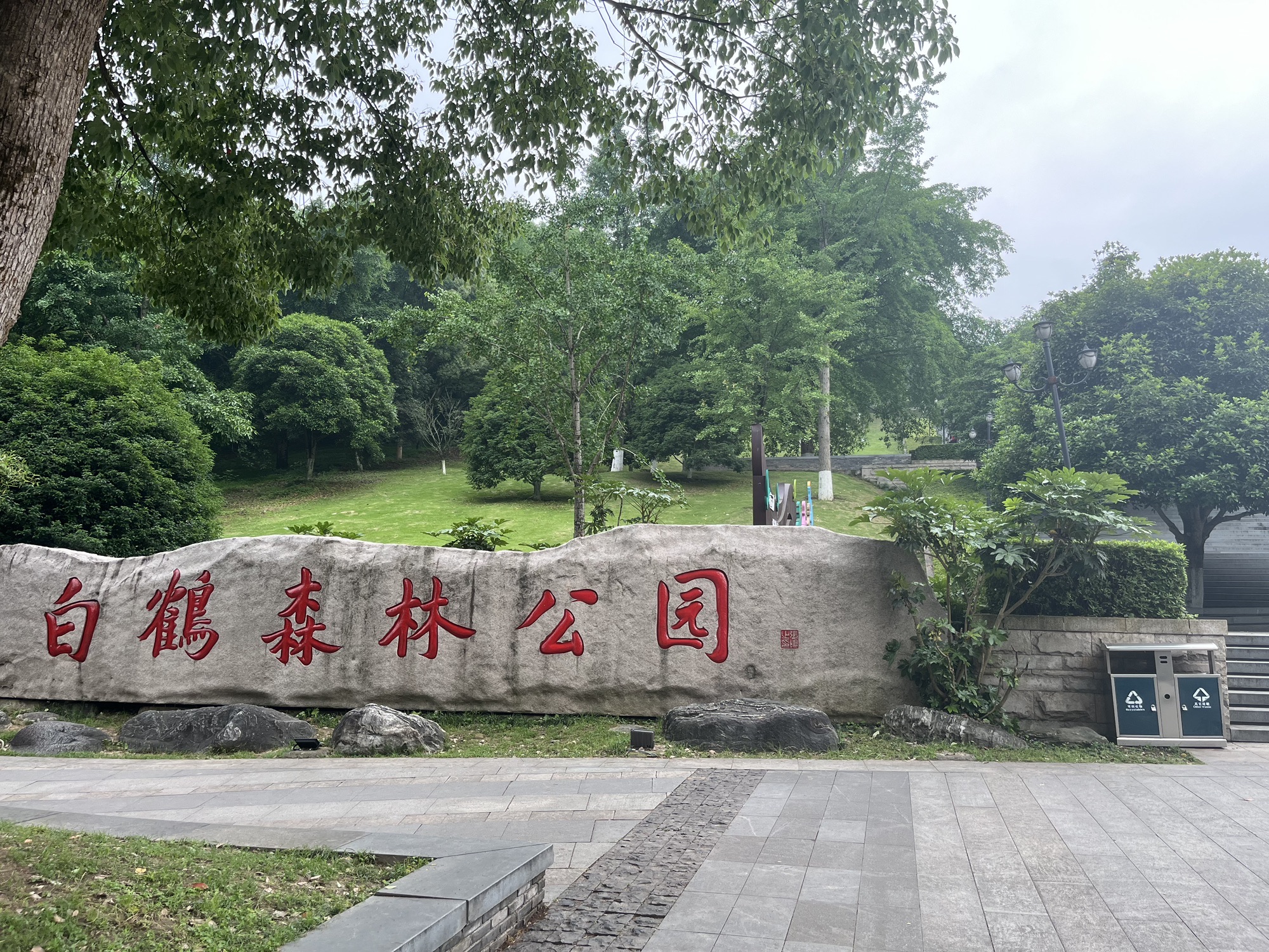 白鹤森林公园旅行图片 1