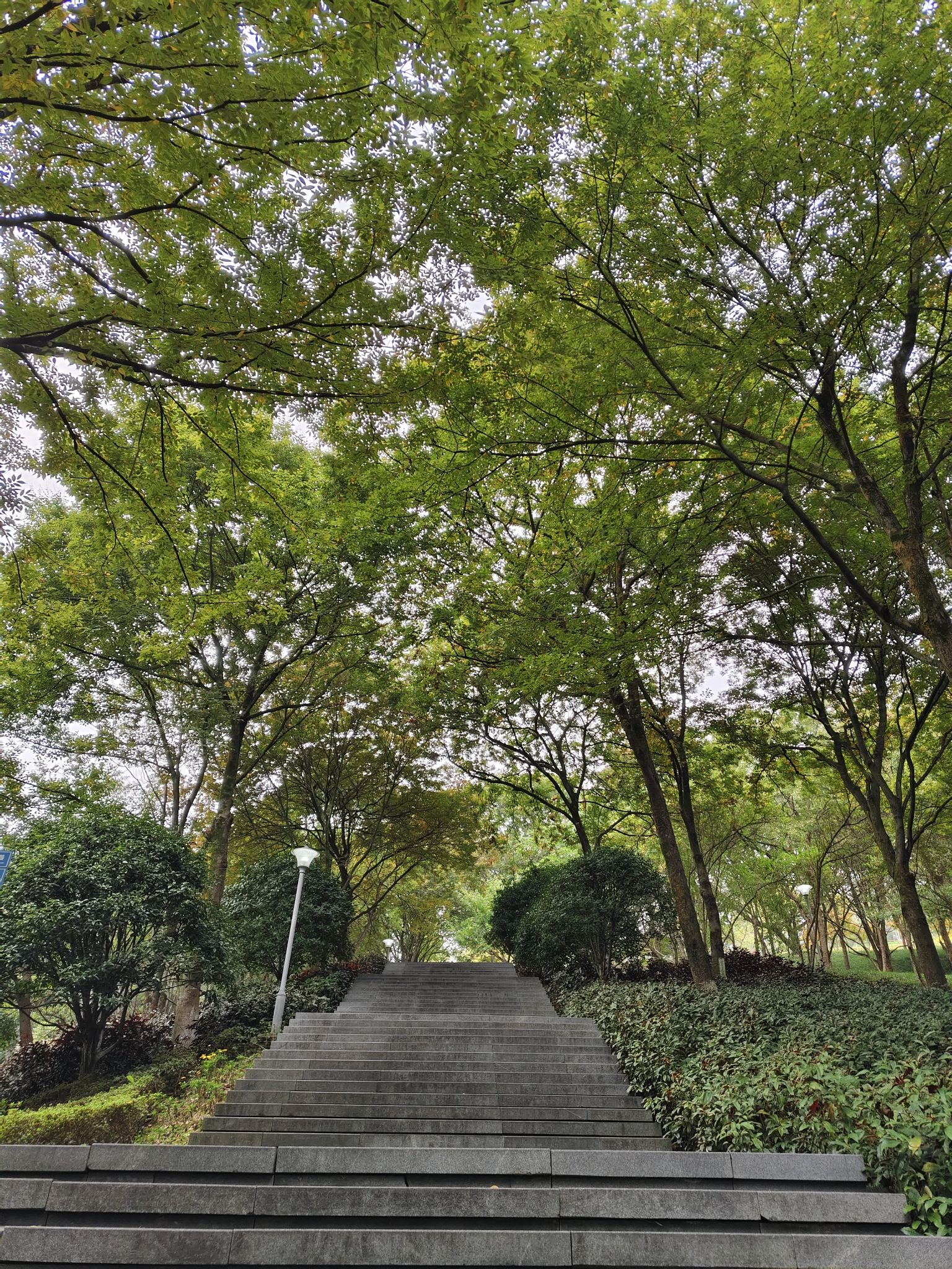 白鹤森林公园旅行图片 3