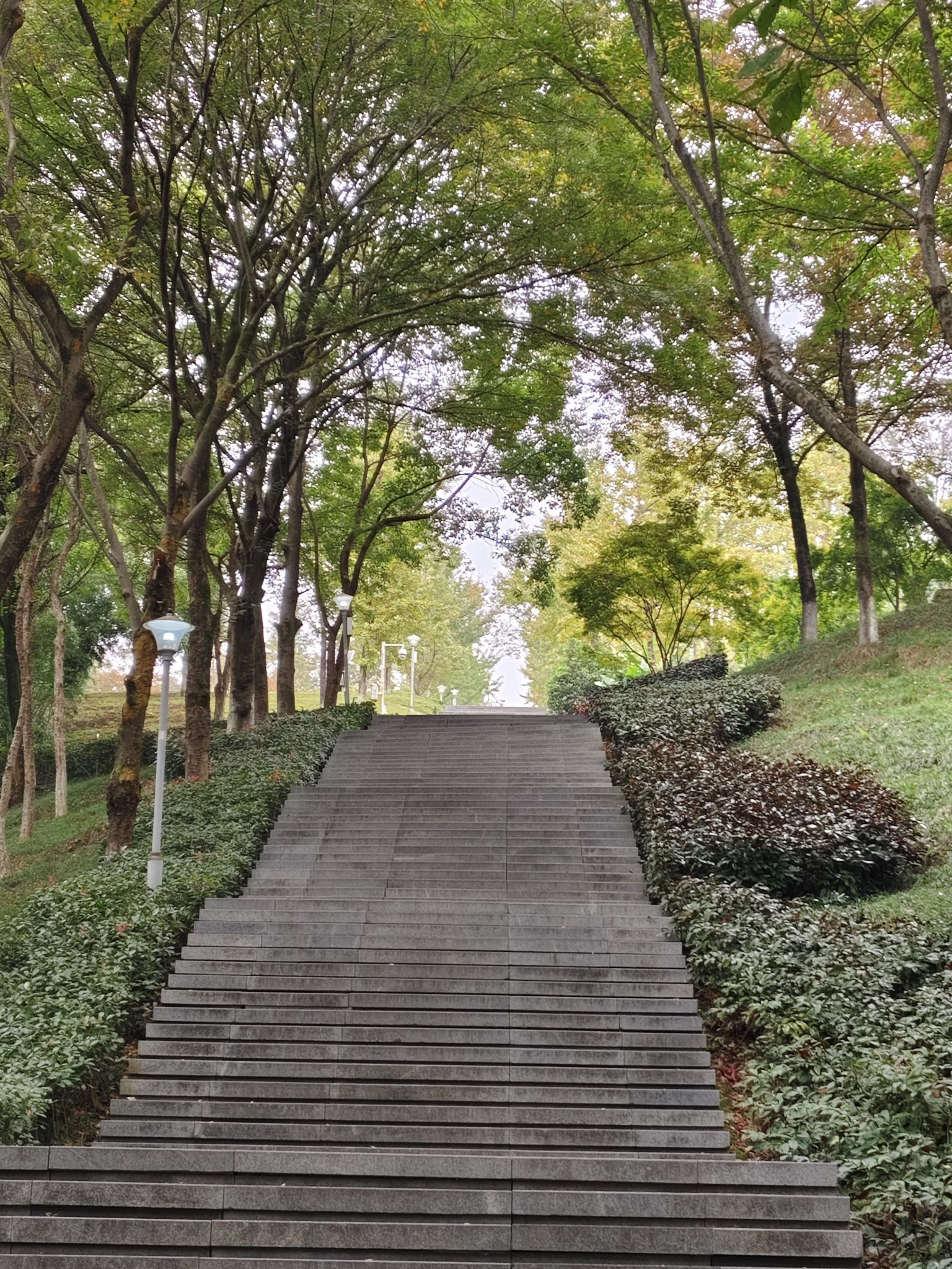 白鹤森林公园旅行图片 2