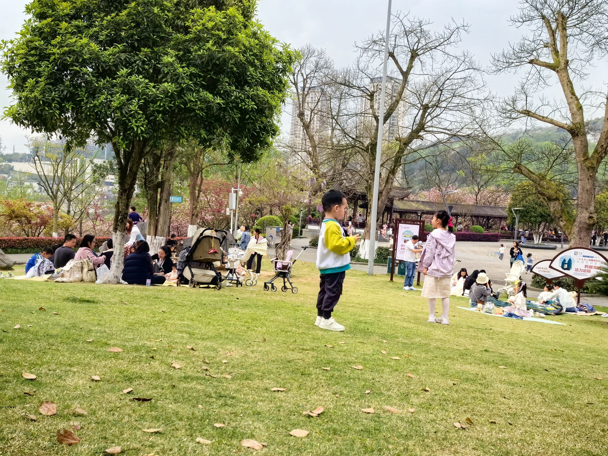 白鹤森林公园旅行图片 3