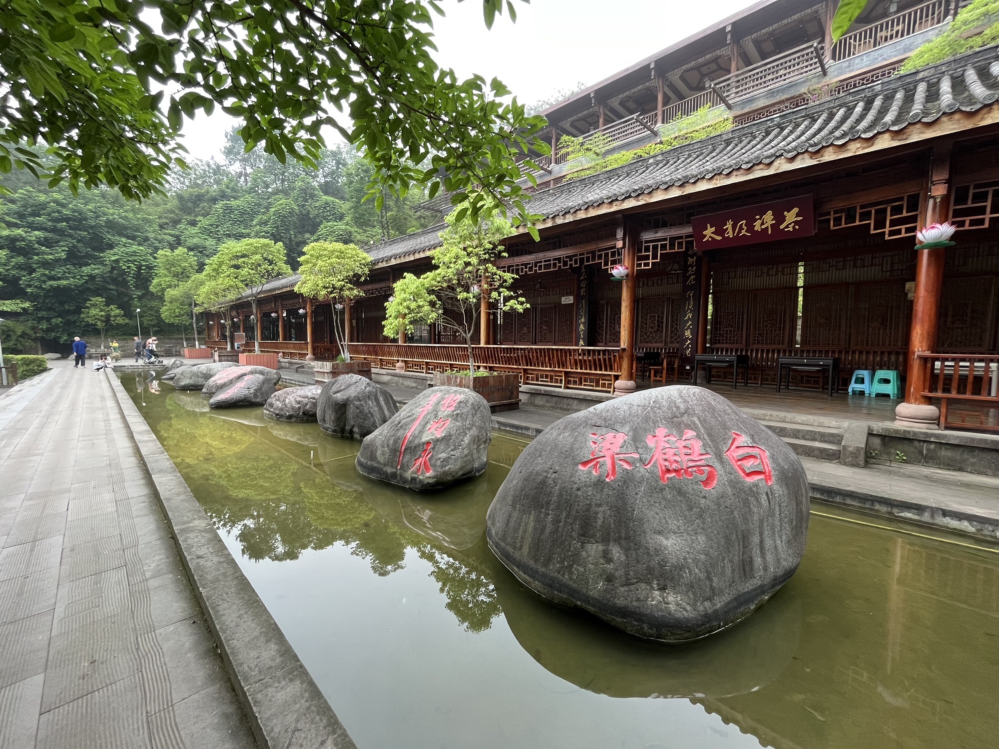 白鹤森林公园旅行图片 3