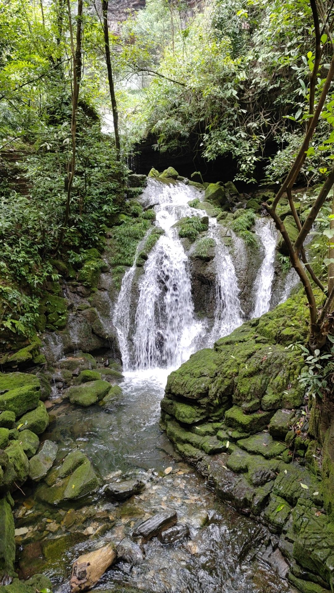 武陵山水帘洞名胜风景旅游区旅行图片 2