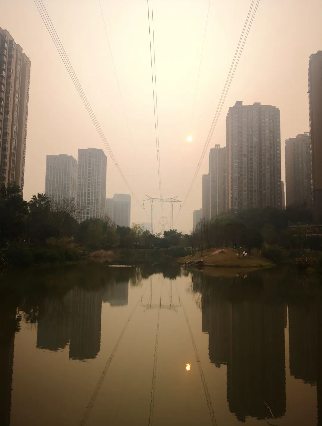 西城的湖湿地公园旅行图片 2