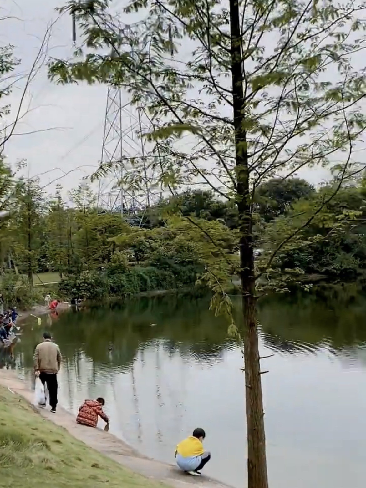 西城的湖湿地公园旅行图片 2