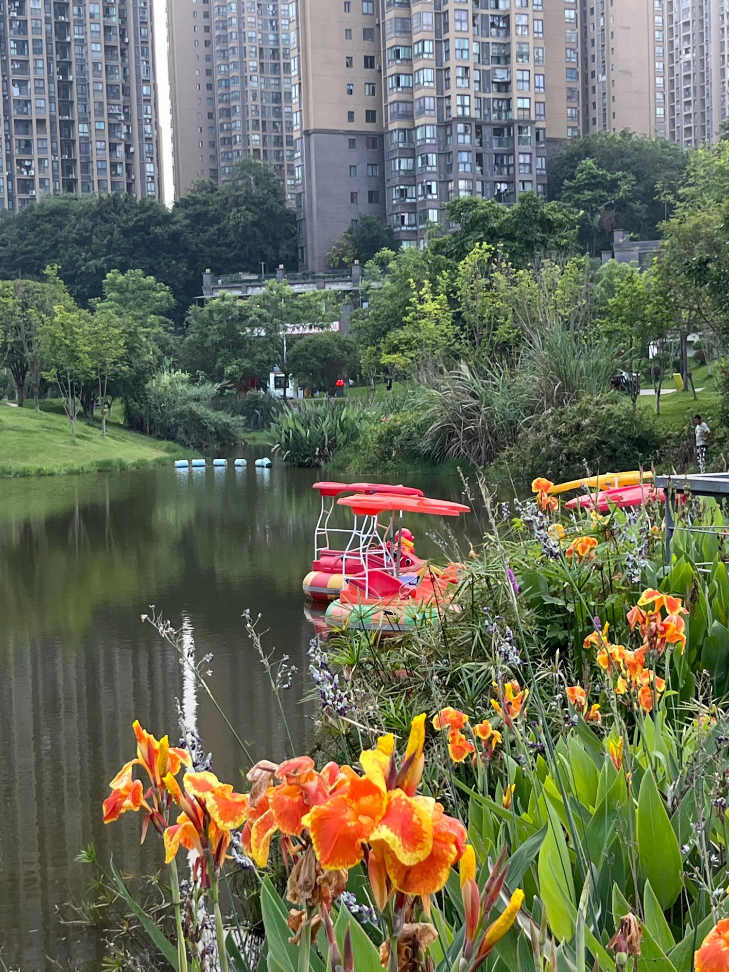 西城的湖湿地公园旅行图片 2