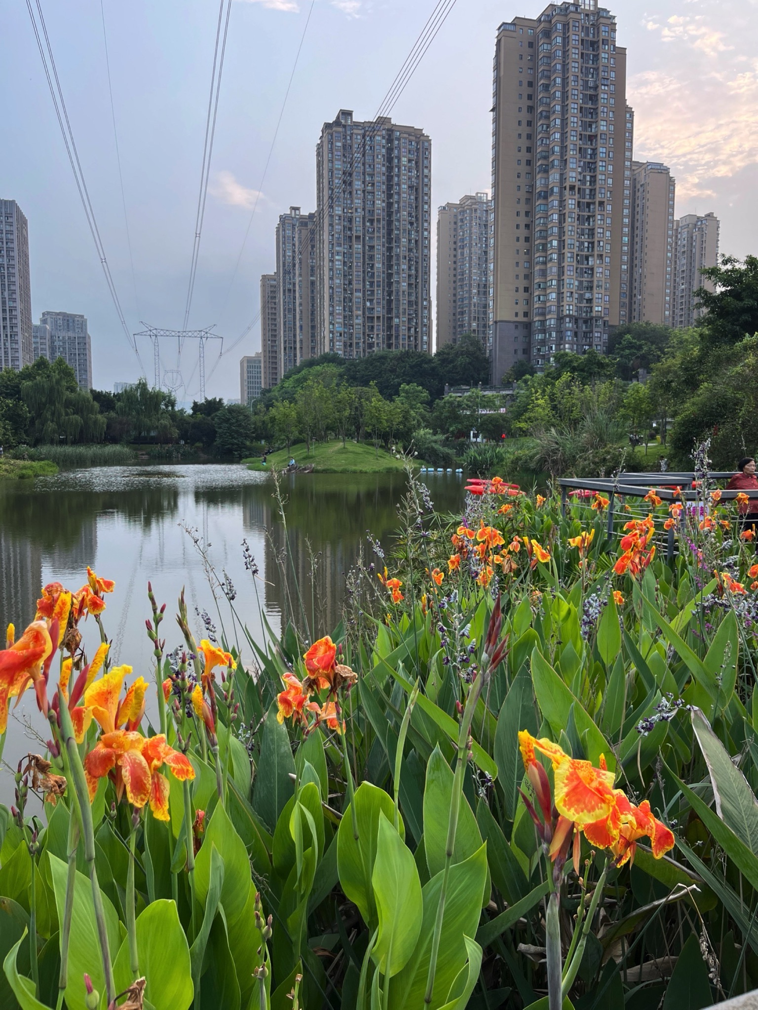 西城的湖湿地公园旅行图片 1