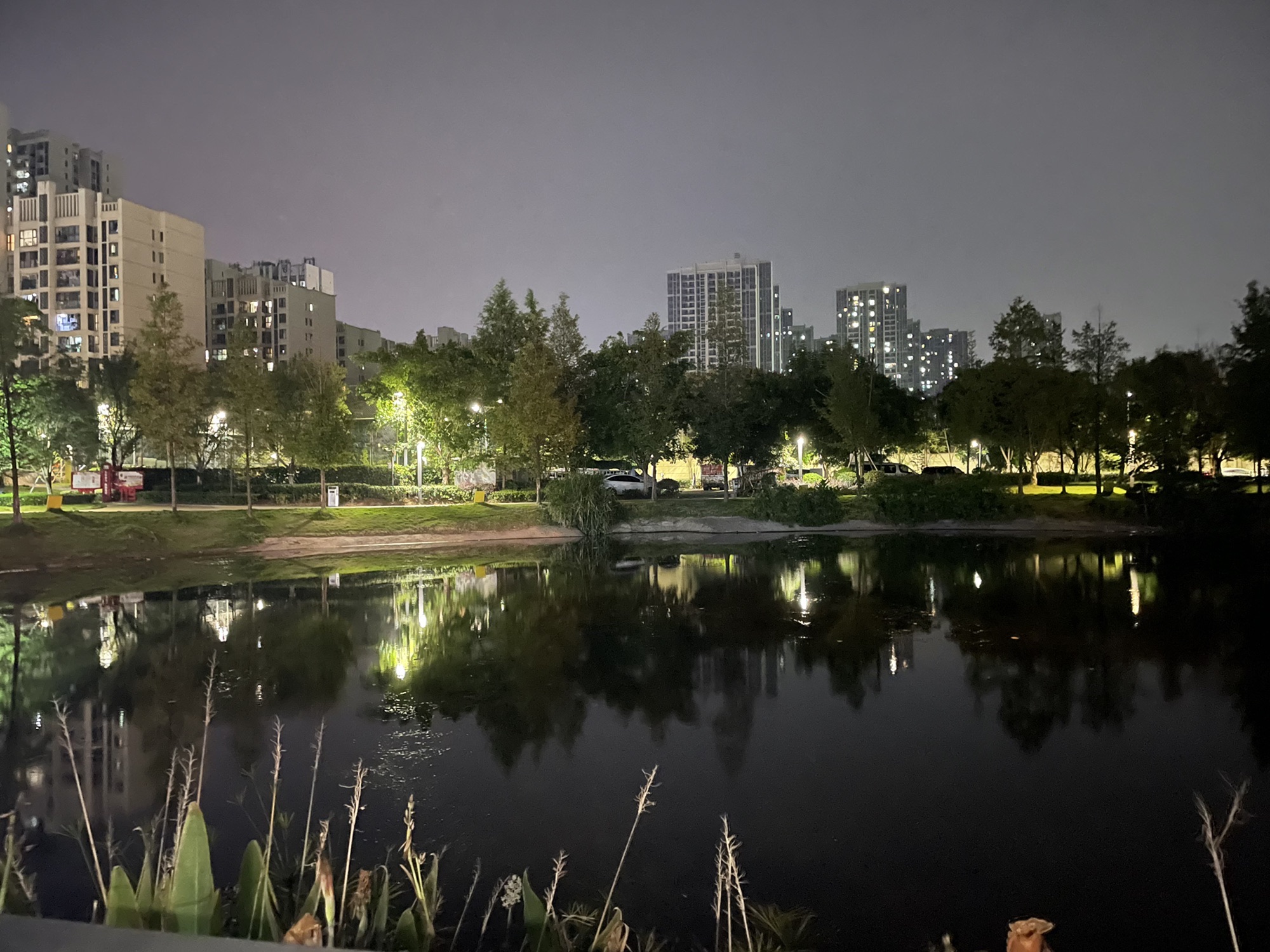 西城的湖湿地公园旅行图片 3