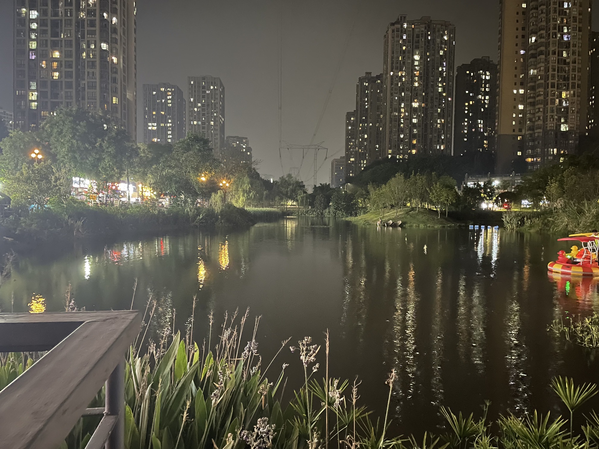 西城的湖湿地公园旅行图片 2