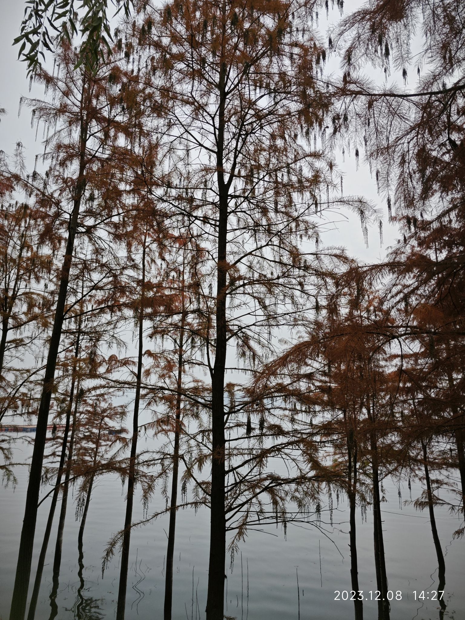 长寿湖风景区旅行图片 3