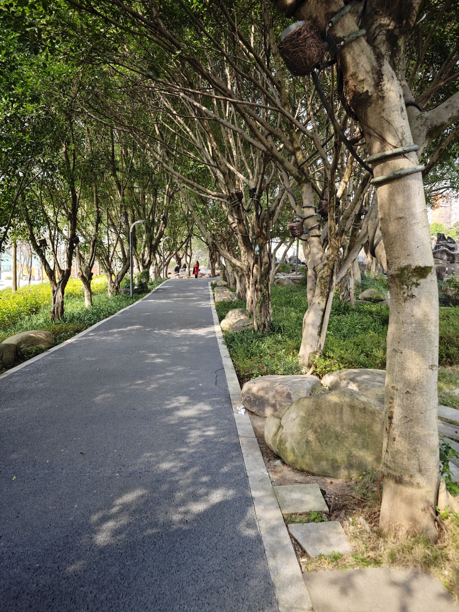 云阳滨江公园旅行图片 2