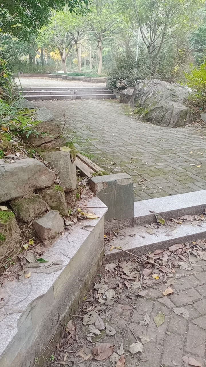 河滨公园旅行图片 1