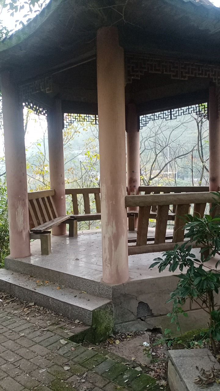 河滨公园旅行图片 2