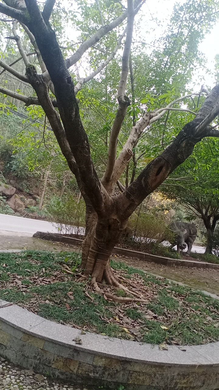 河滨公园旅行图片 3