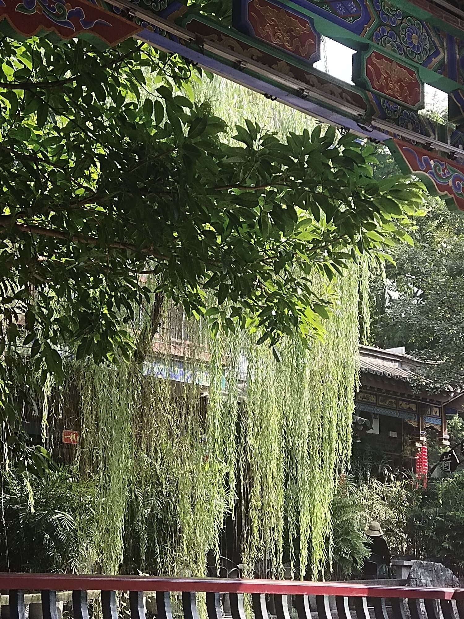 长寿菩提古镇文化旅游区旅行图片 2