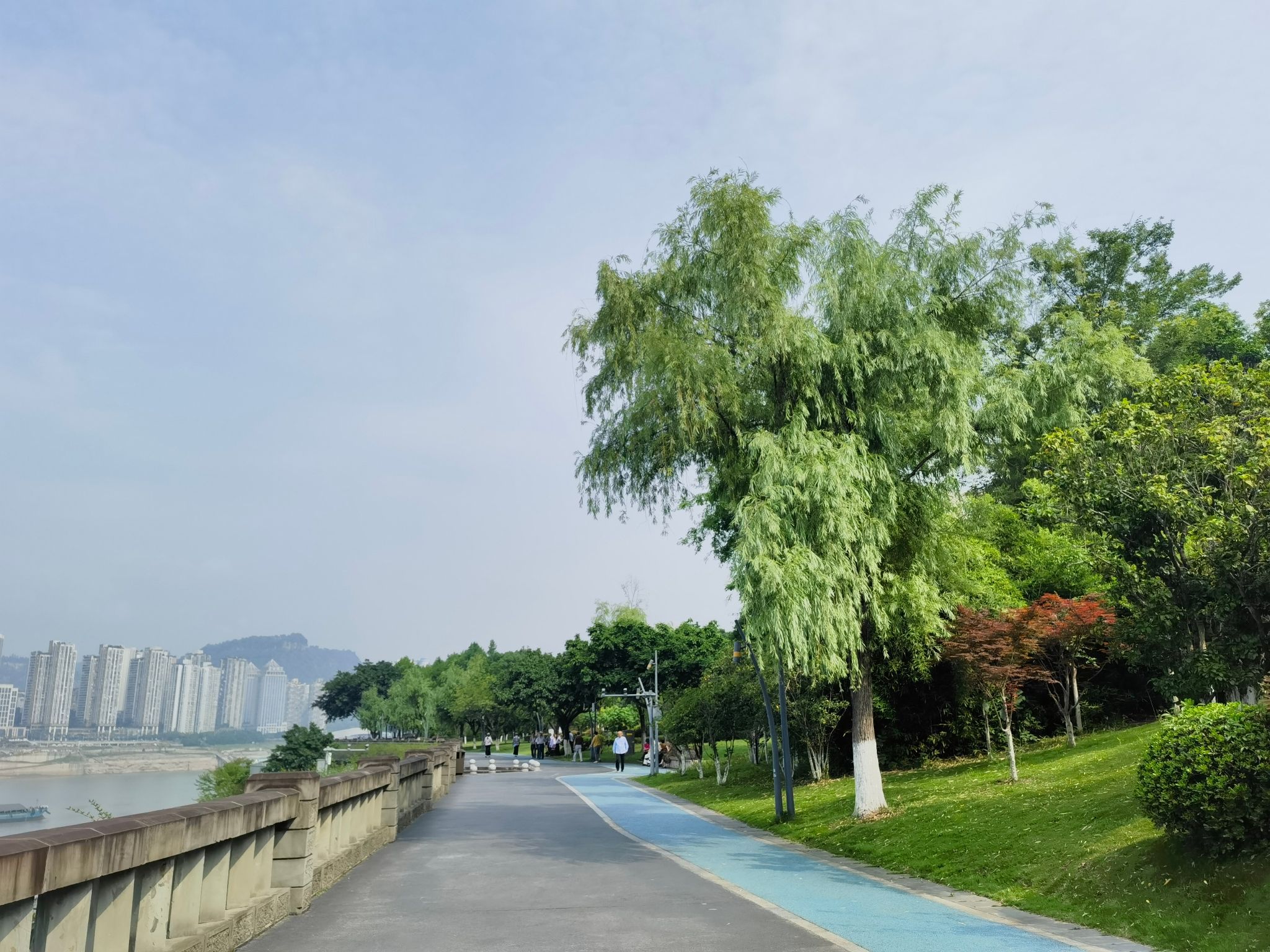 南滨公园旅行图片 2