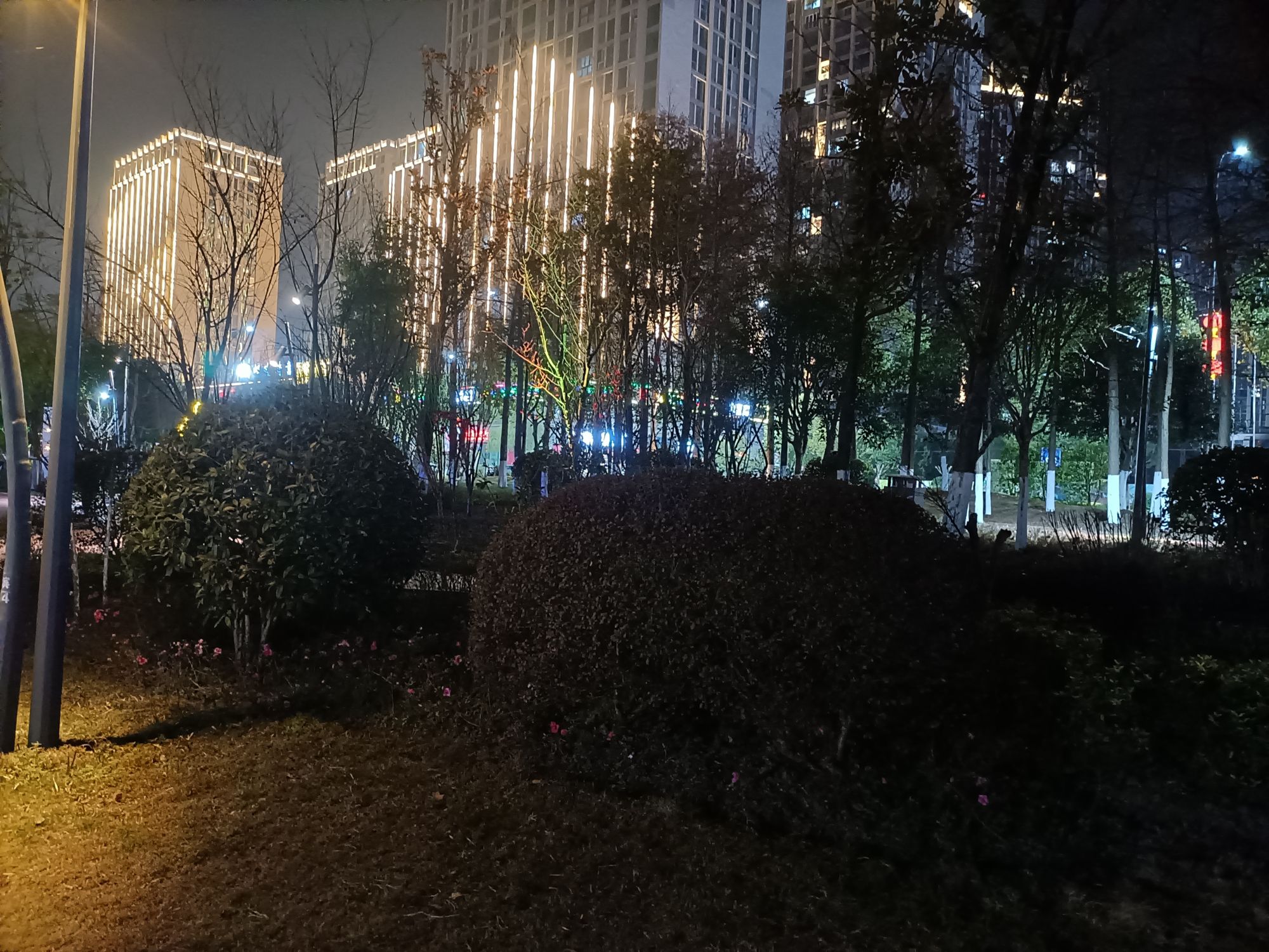 南滨公园旅行图片 3