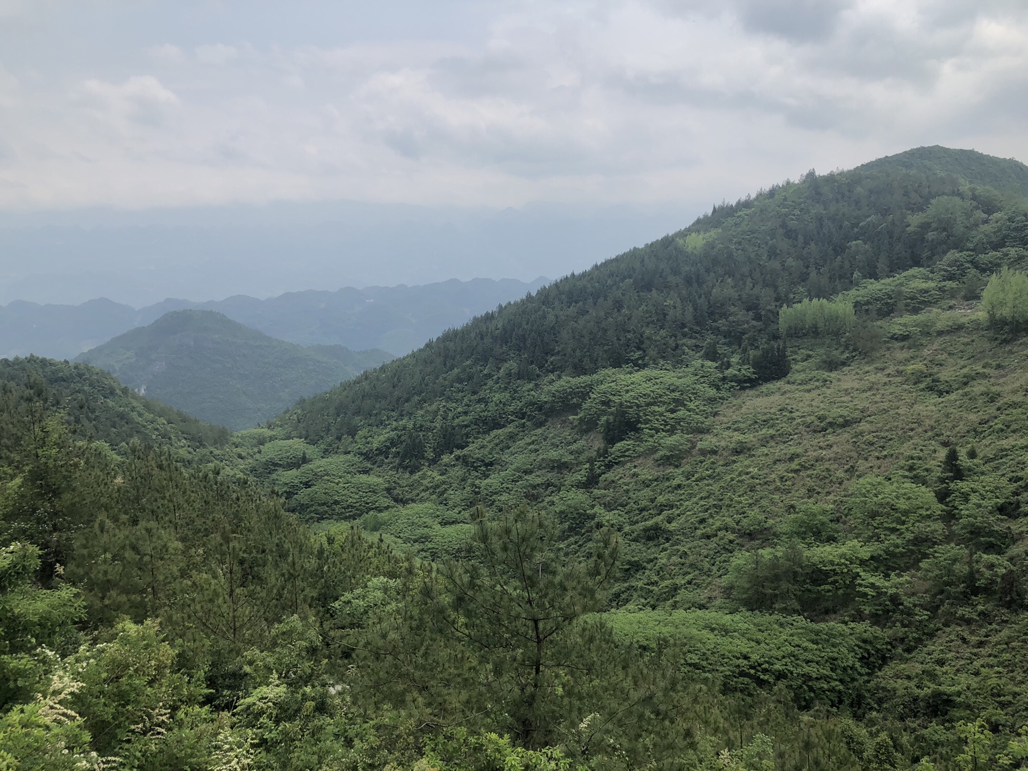 重庆云阳龙缸国家地质公园旅行图片 1