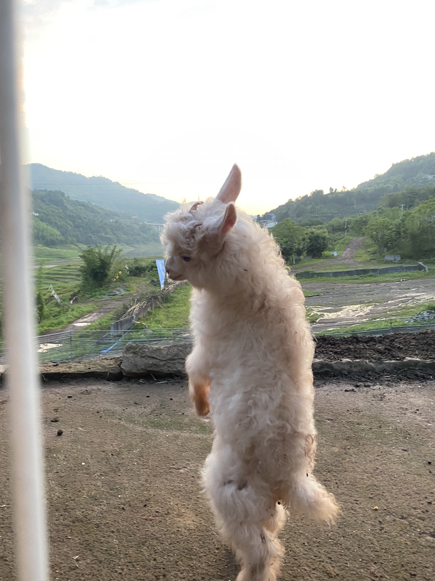 美心红酒小镇旅行图片 3