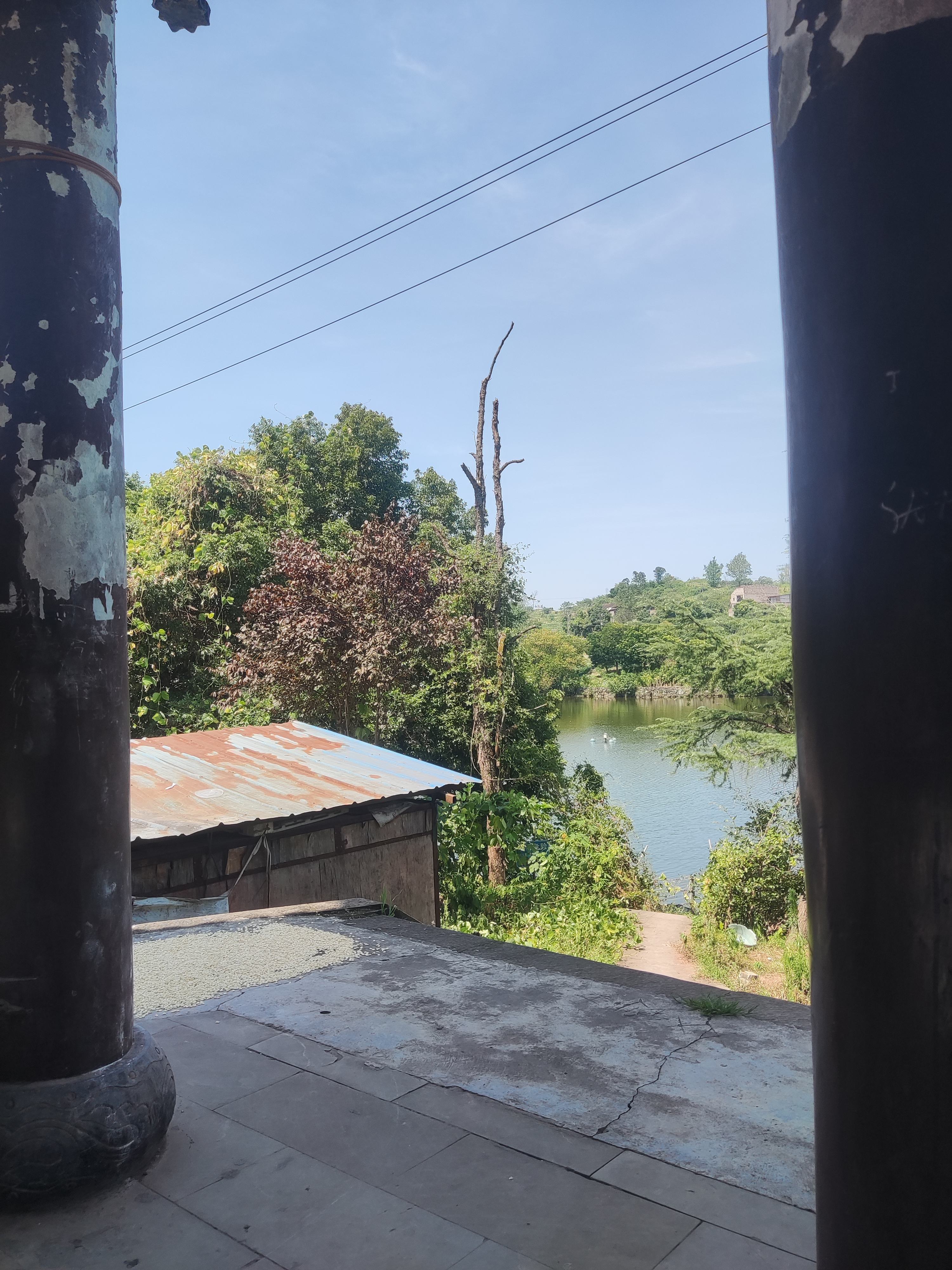 飞龙湖公园旅行图片 1