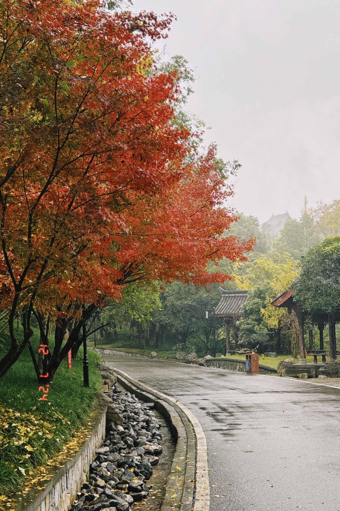 秀湖公园旅行图片 2