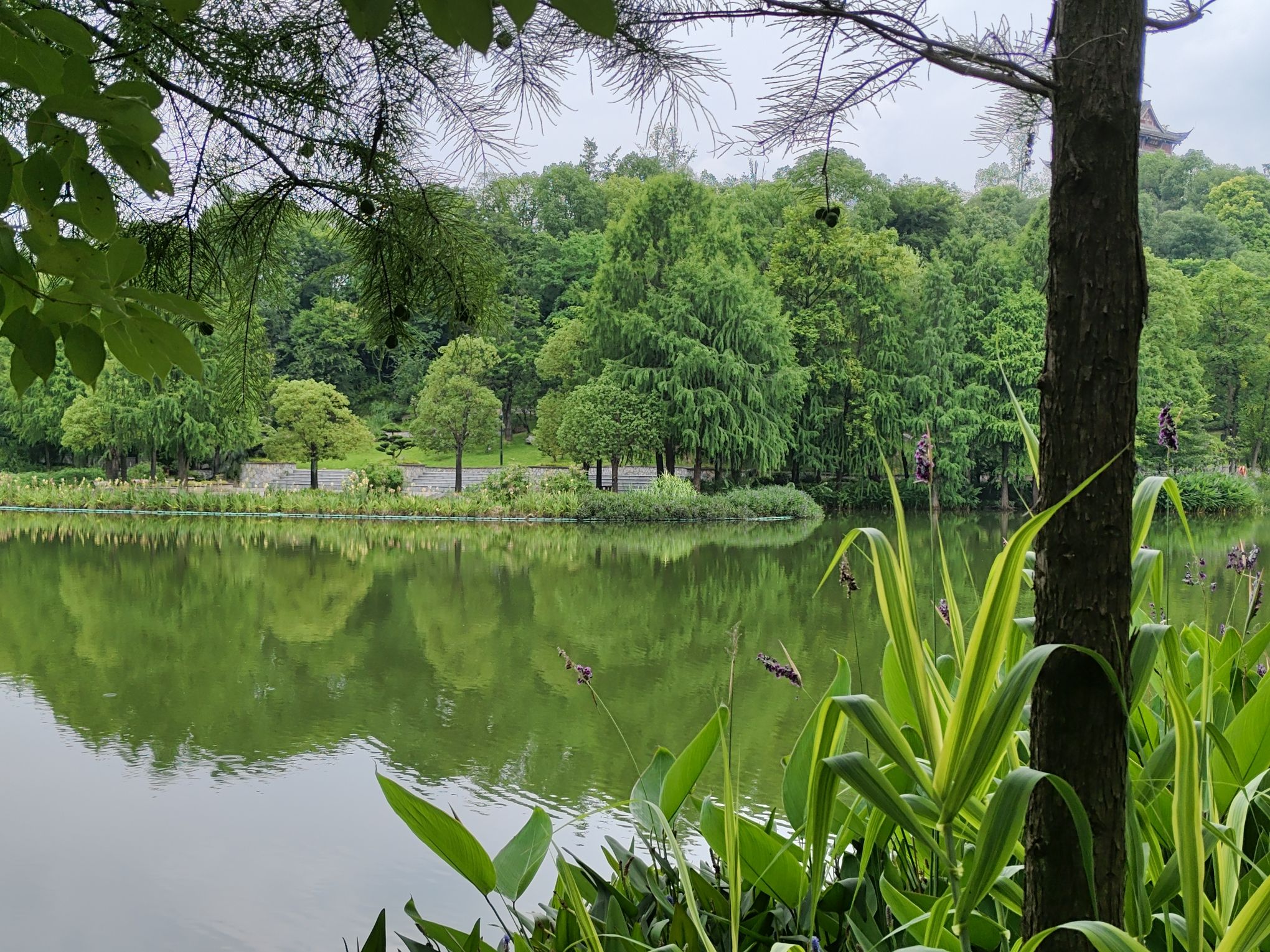 秀湖公园旅行图片 3