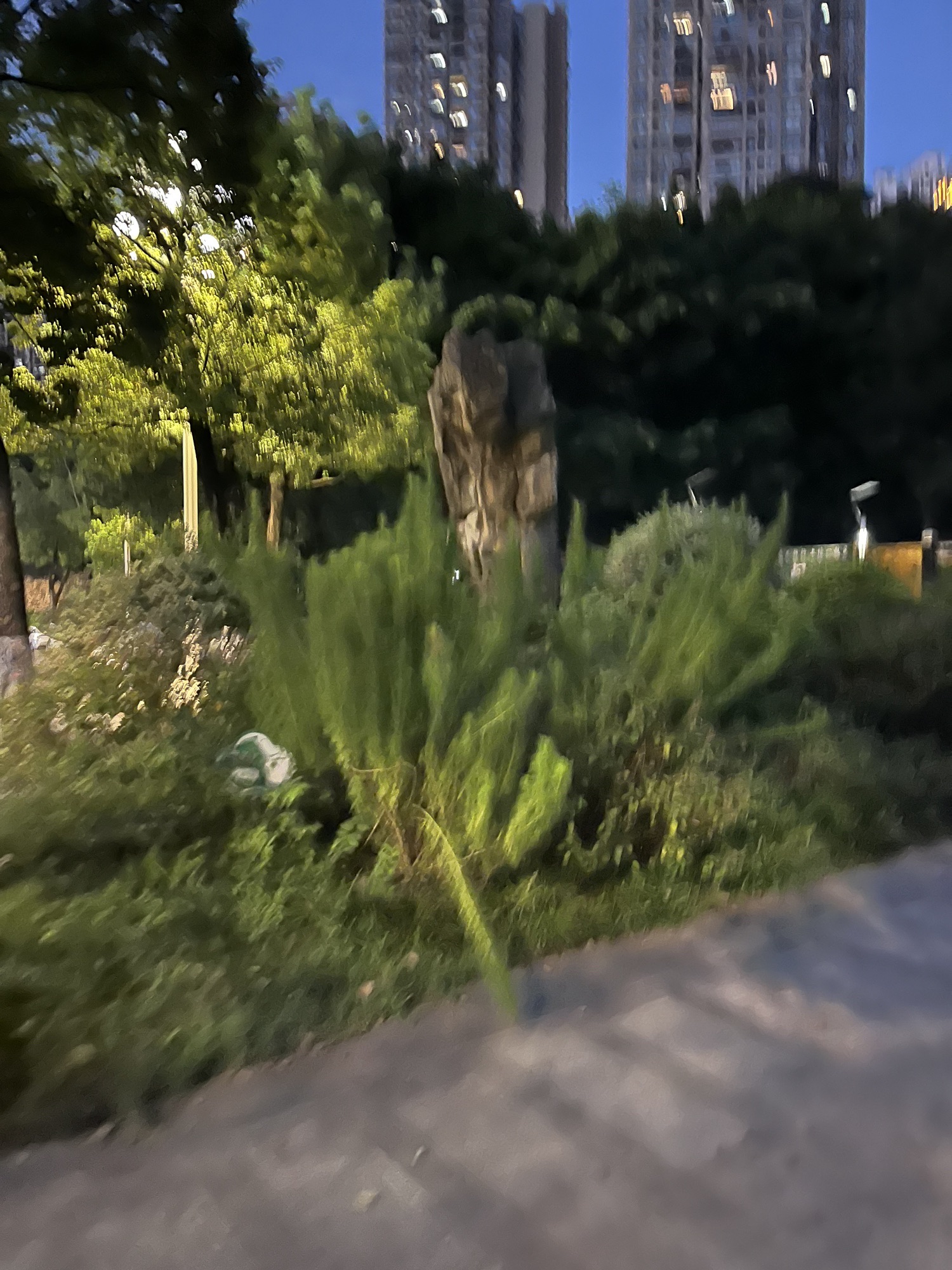 弹子石中央公园旅行图片 2