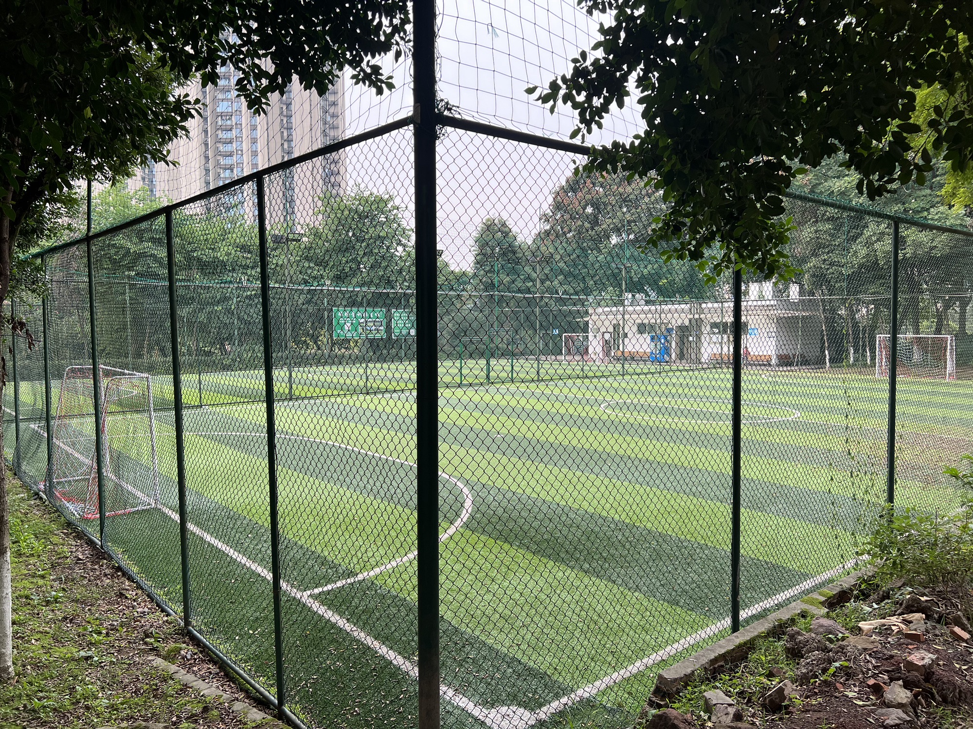 弹子石中央公园旅行图片 2