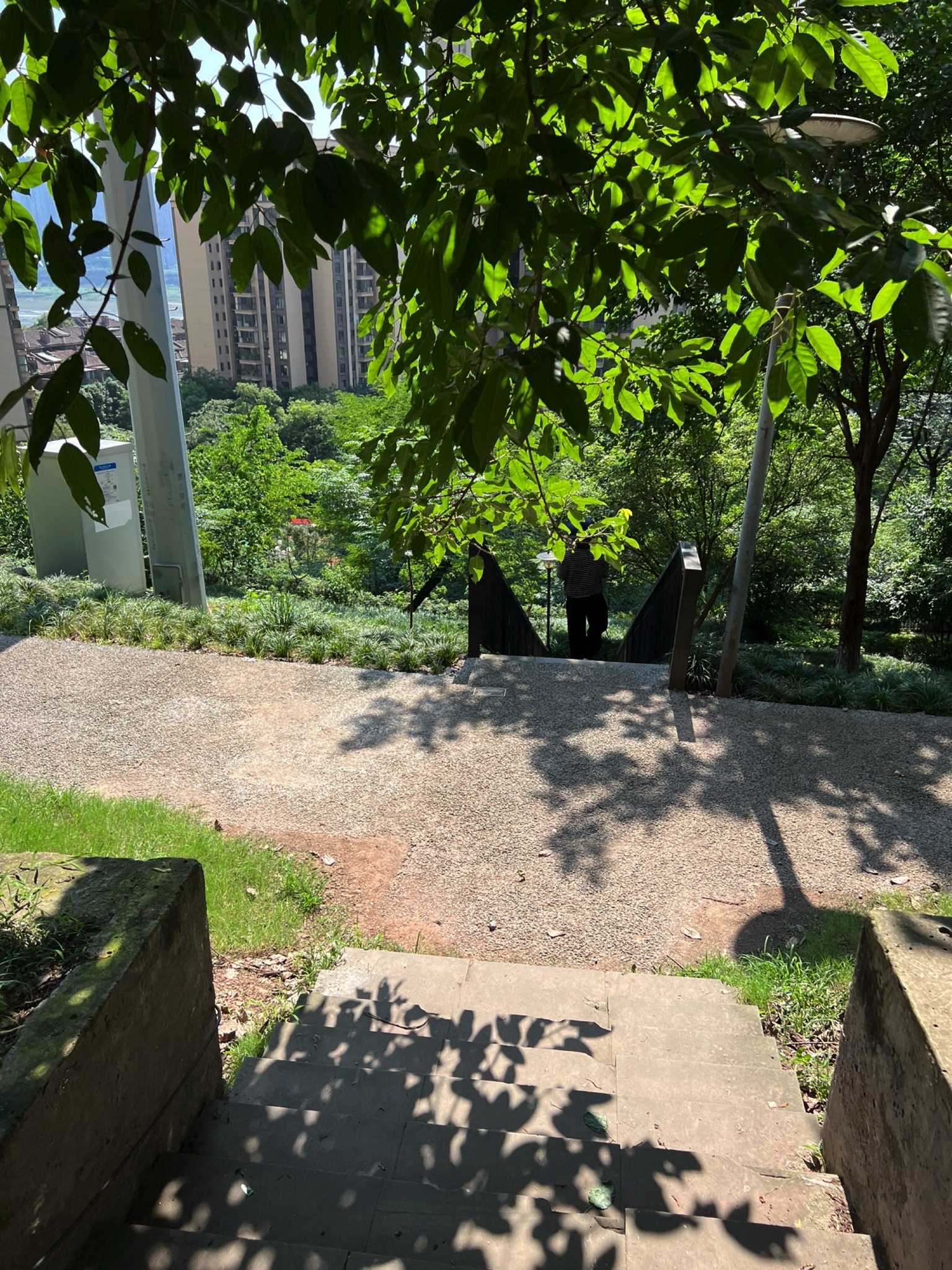 弹子石中央公园旅行图片 1