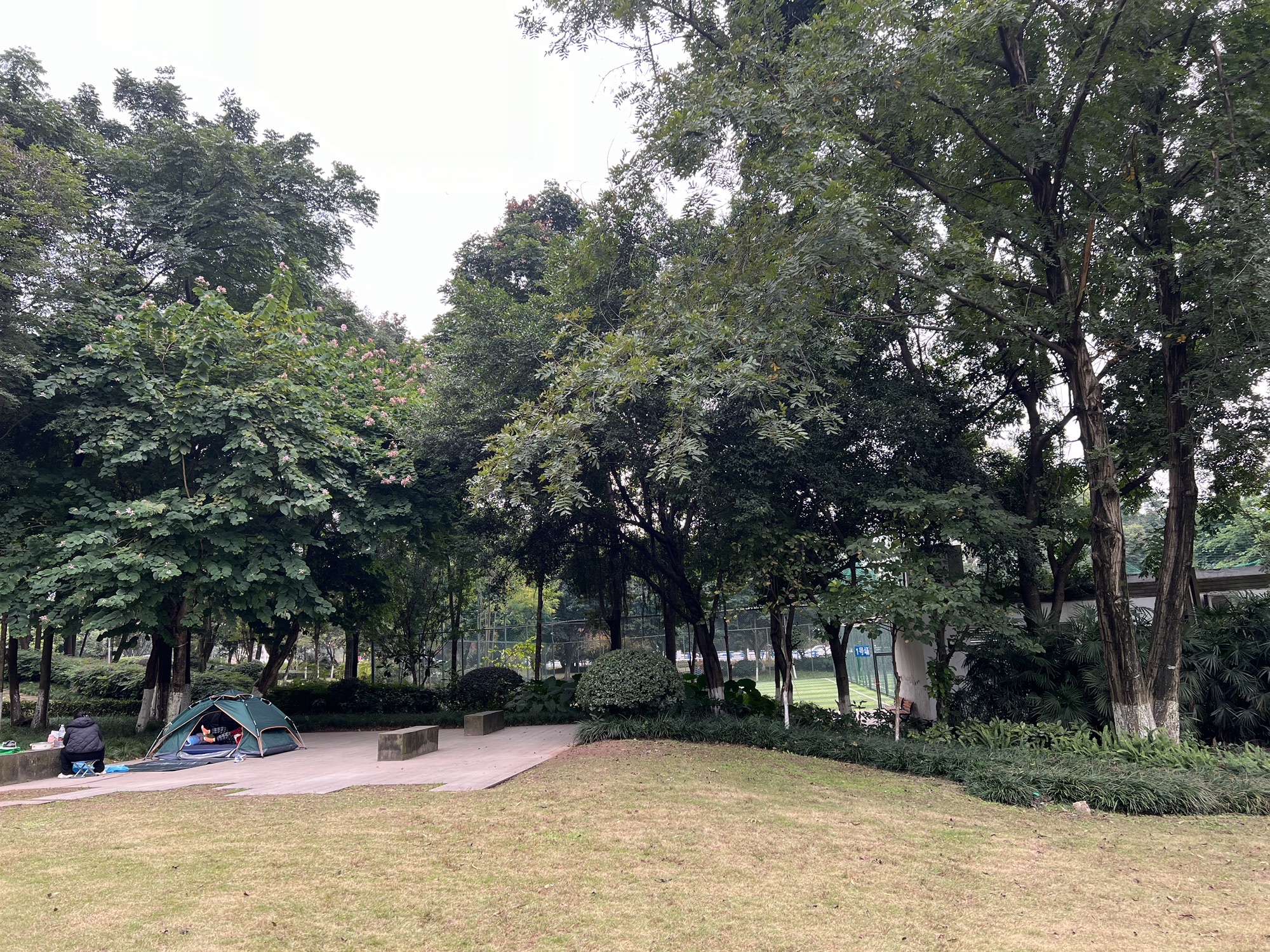 弹子石中央公园旅行图片 3