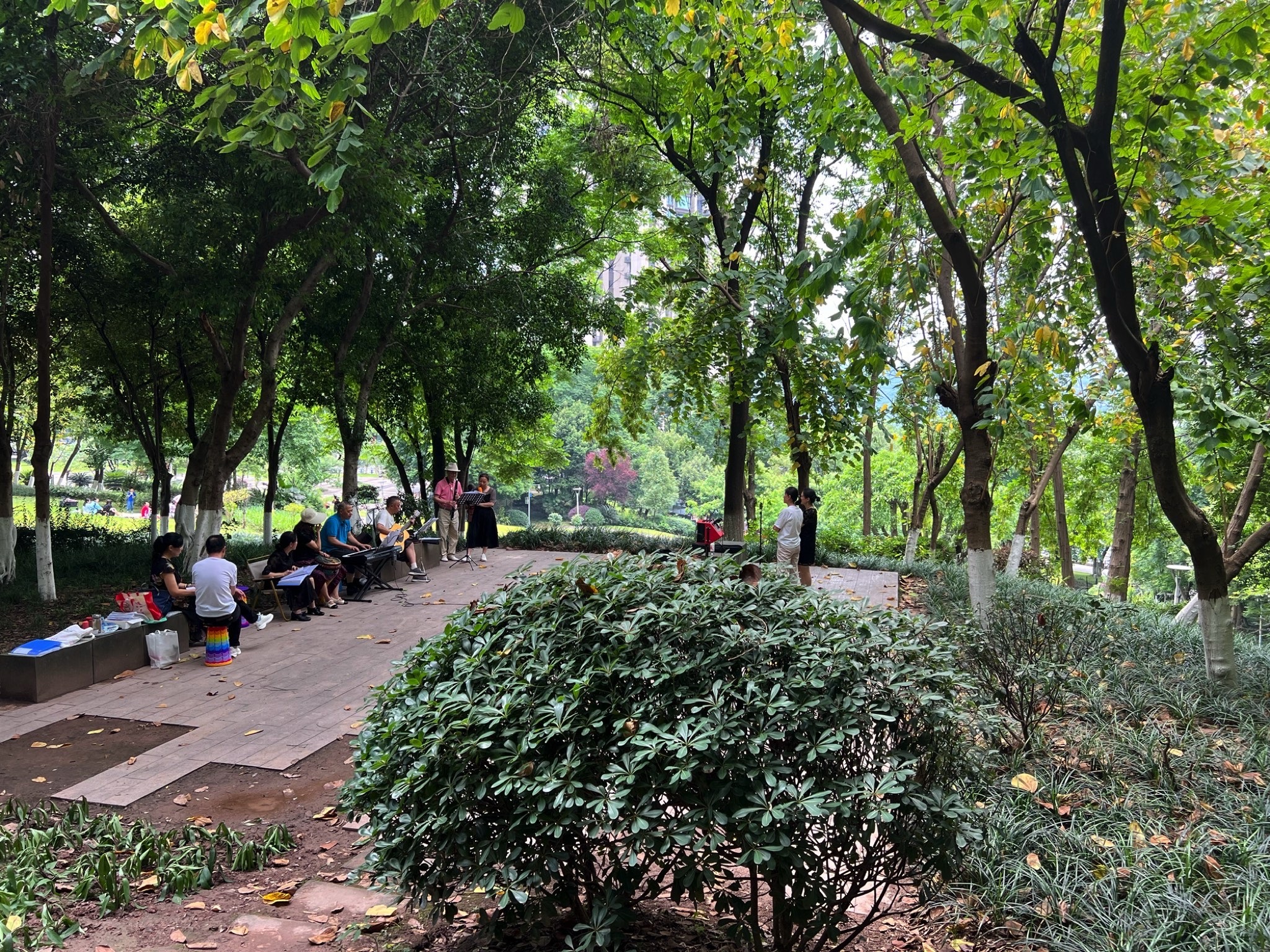 弹子石中央公园旅行图片 1