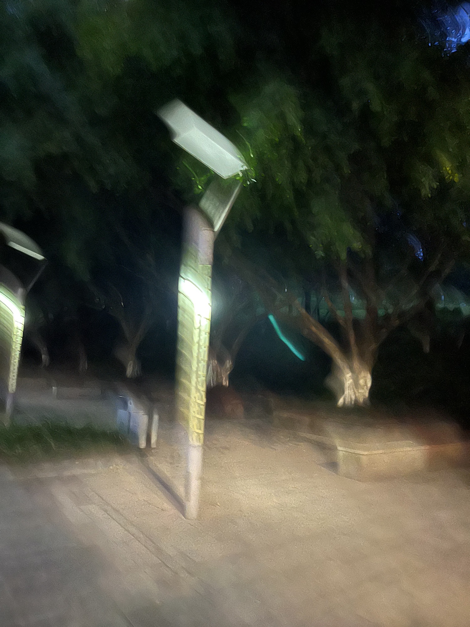弹子石中央公园旅行图片 1