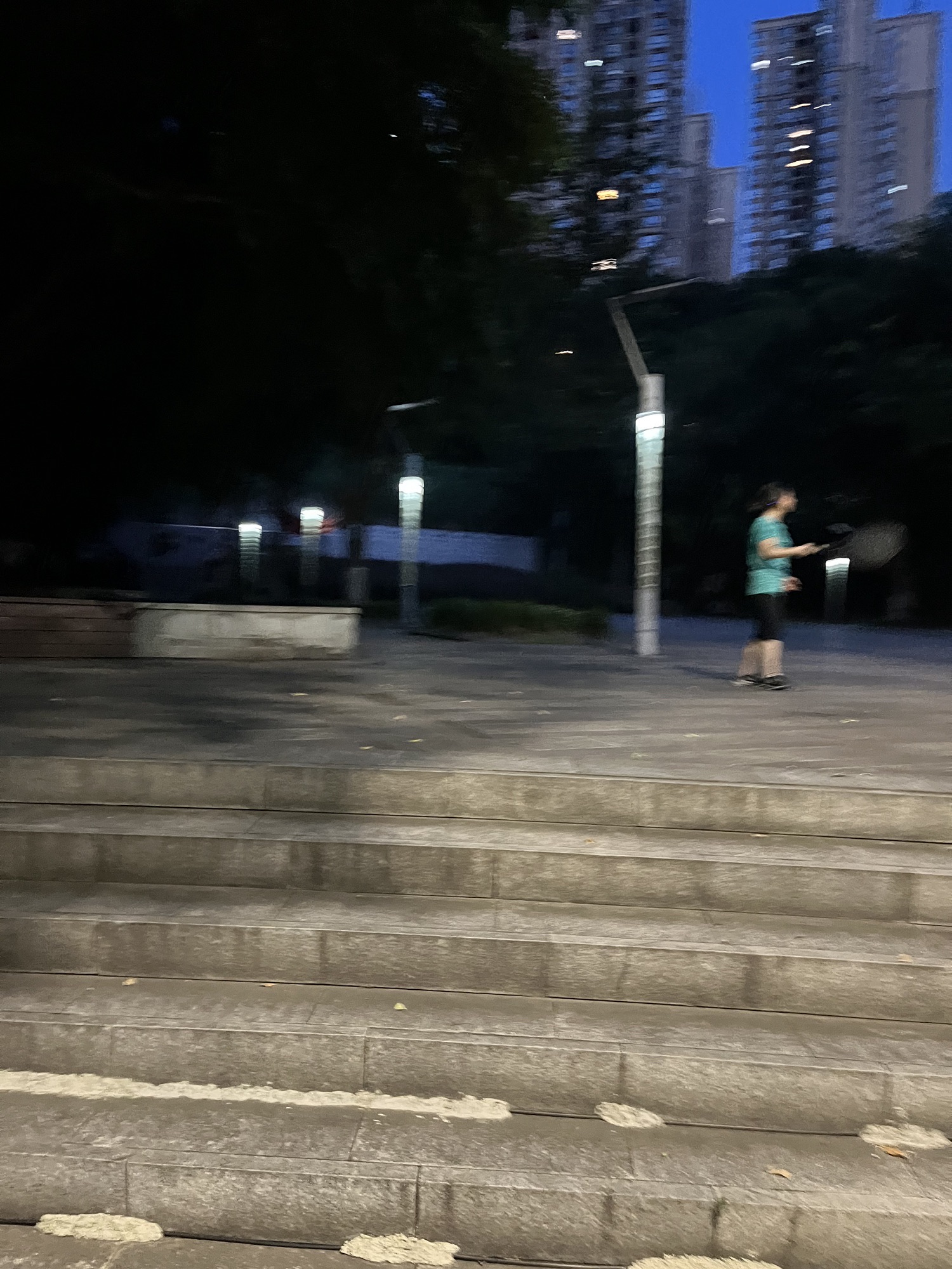 弹子石中央公园旅行图片 3