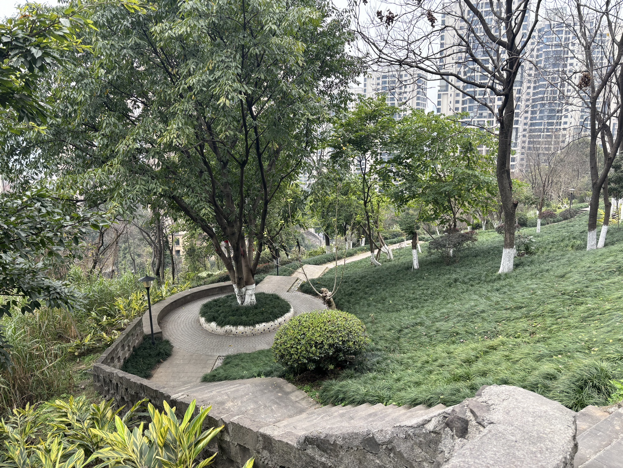 弹子石中央公园旅行图片 1