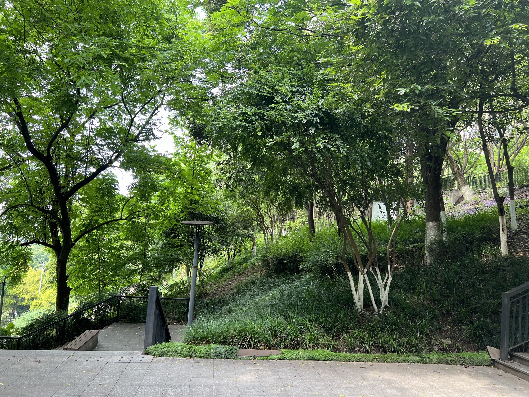 弹子石中央公园旅行图片 3
