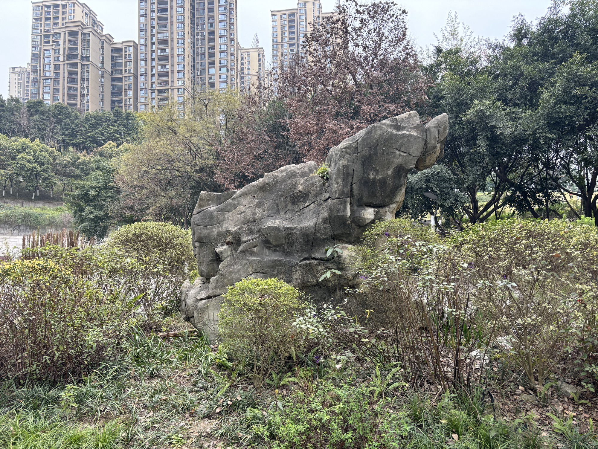 弹子石中央公园旅行图片 2