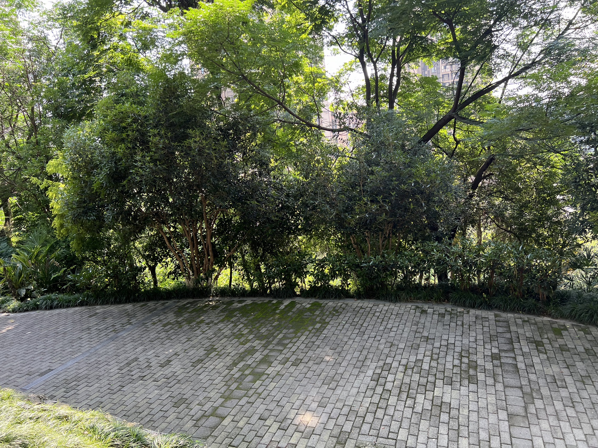 弹子石中央公园旅行图片 2