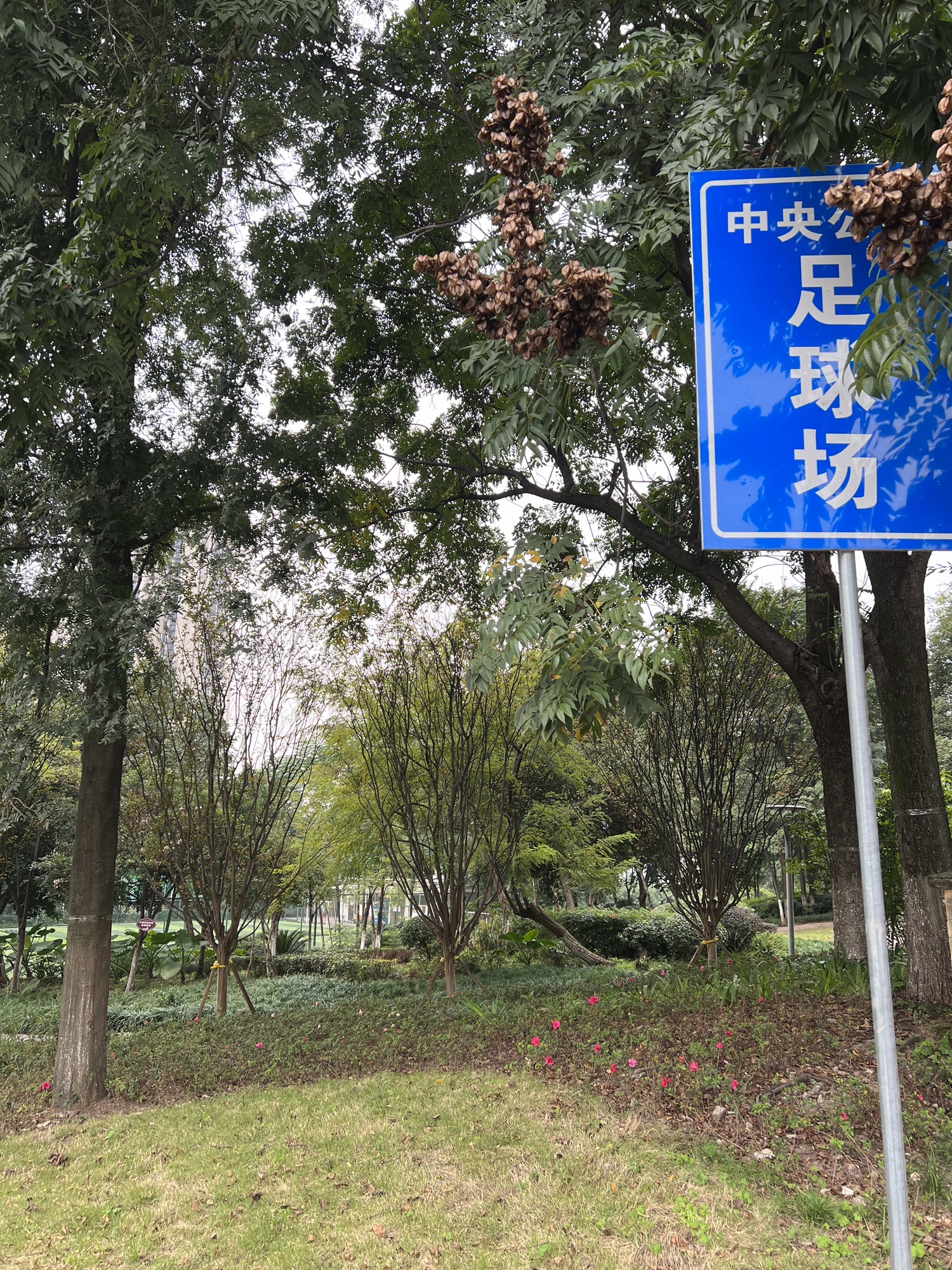 弹子石中央公园旅行图片 1