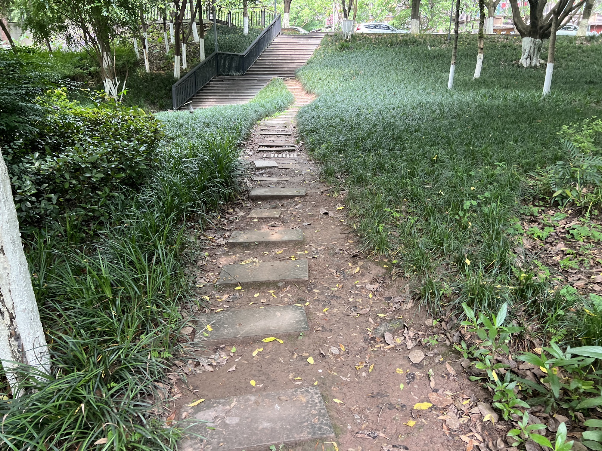 弹子石中央公园旅行图片 2