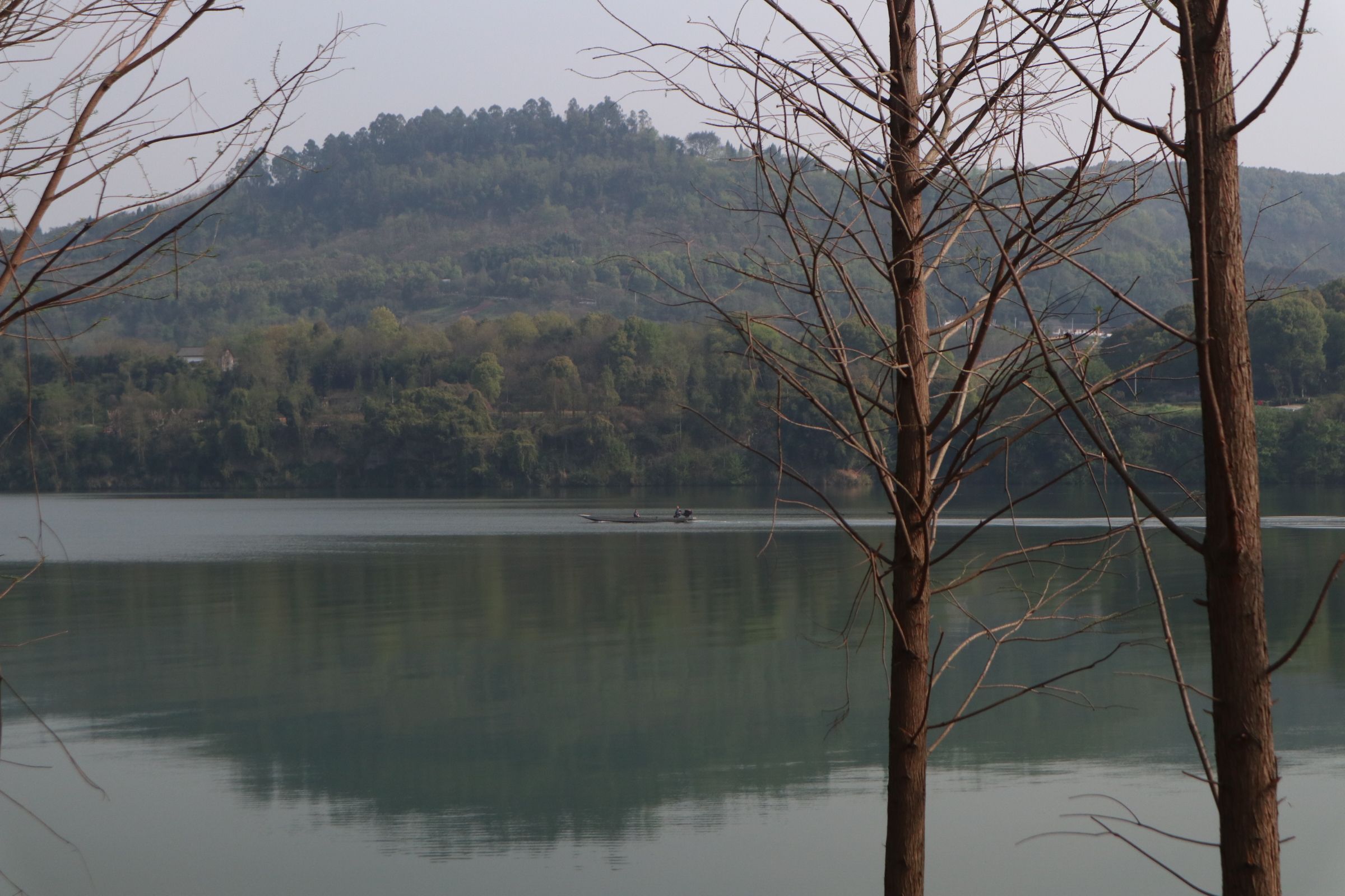 花滩滨江公园旅行图片 1