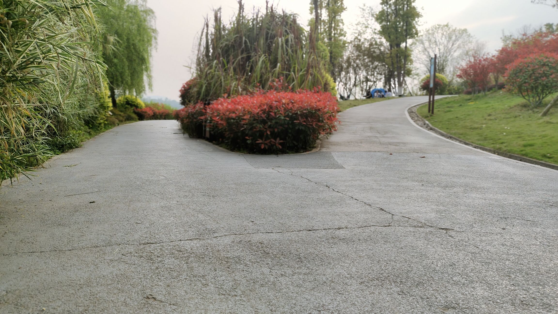 花滩滨江公园旅行图片 3