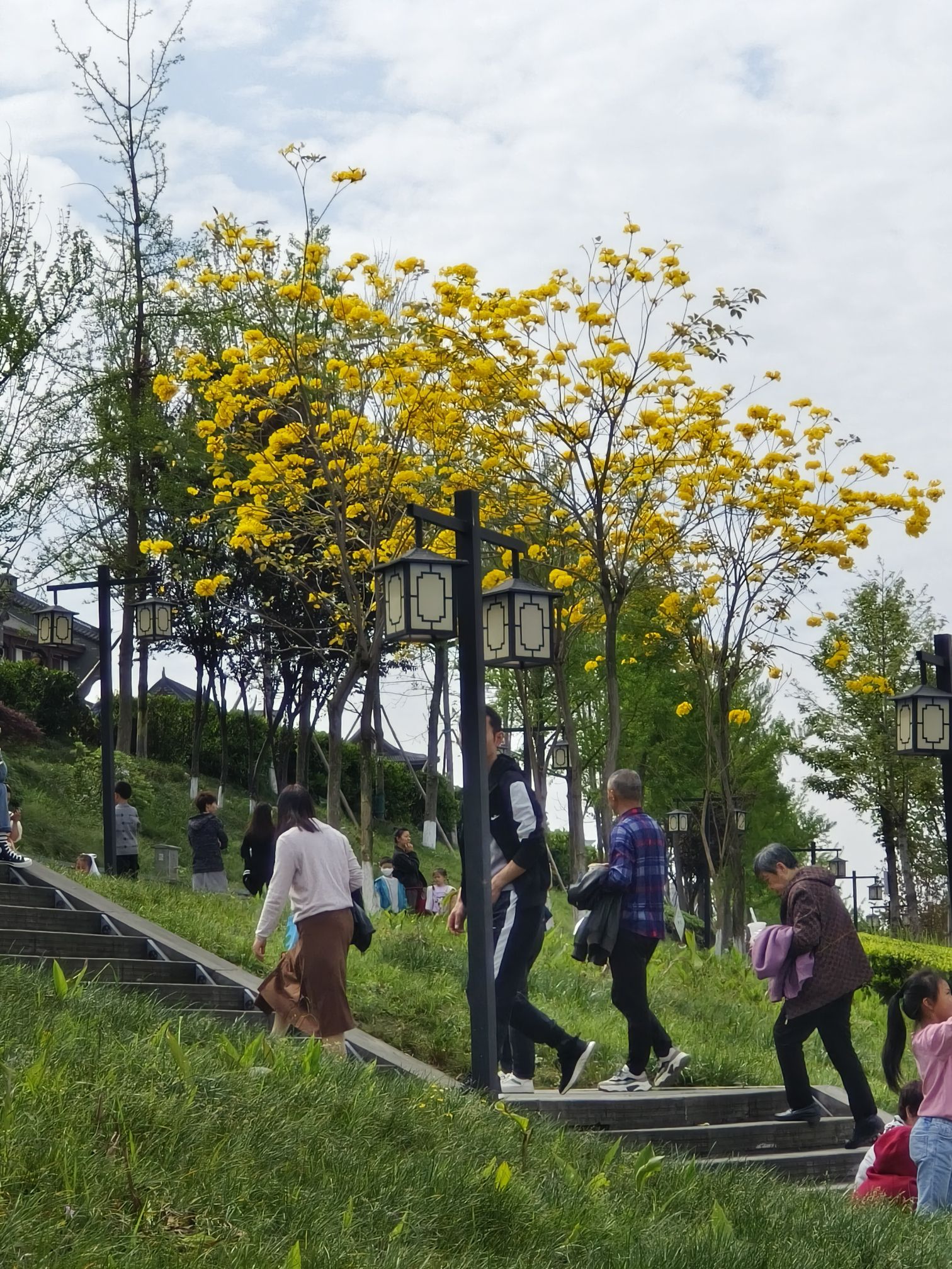 花滩滨江公园旅行图片 3