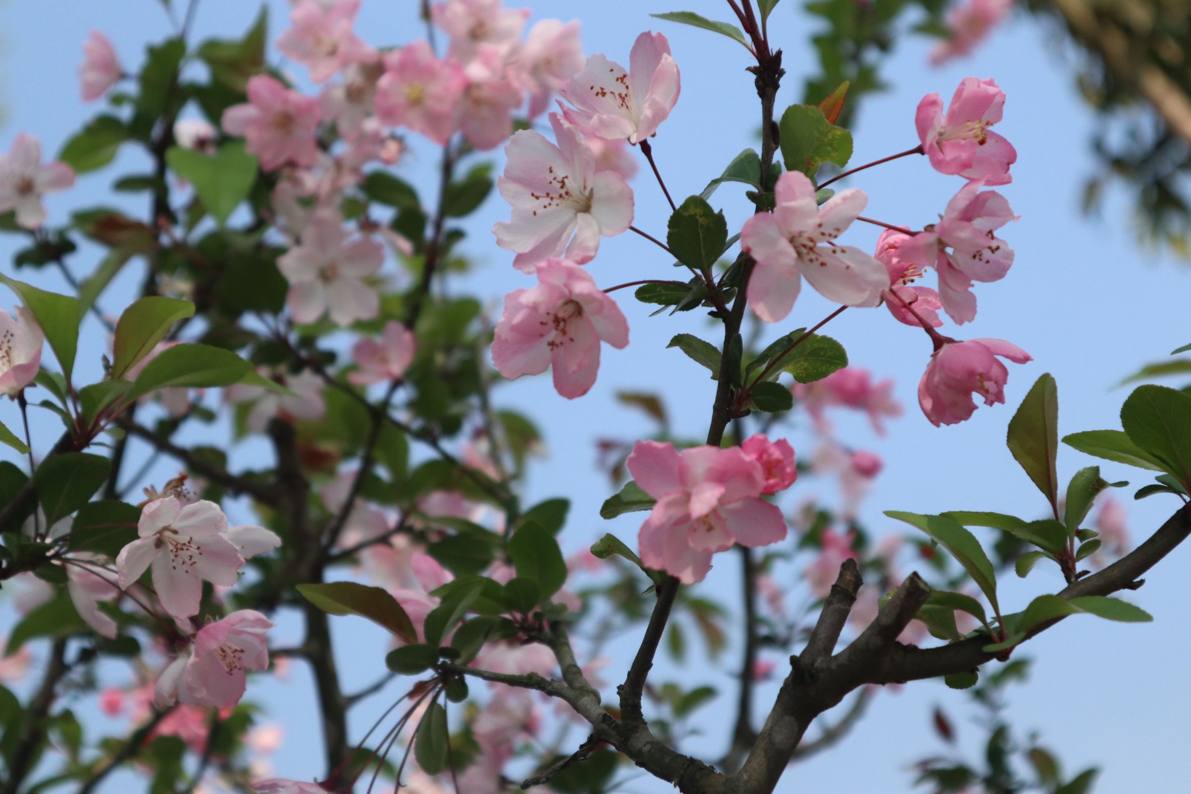 花滩滨江公园旅行图片 2