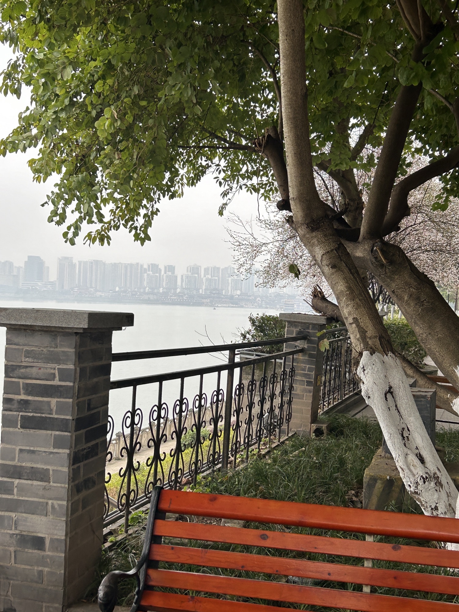 花滩滨江公园旅行图片 2