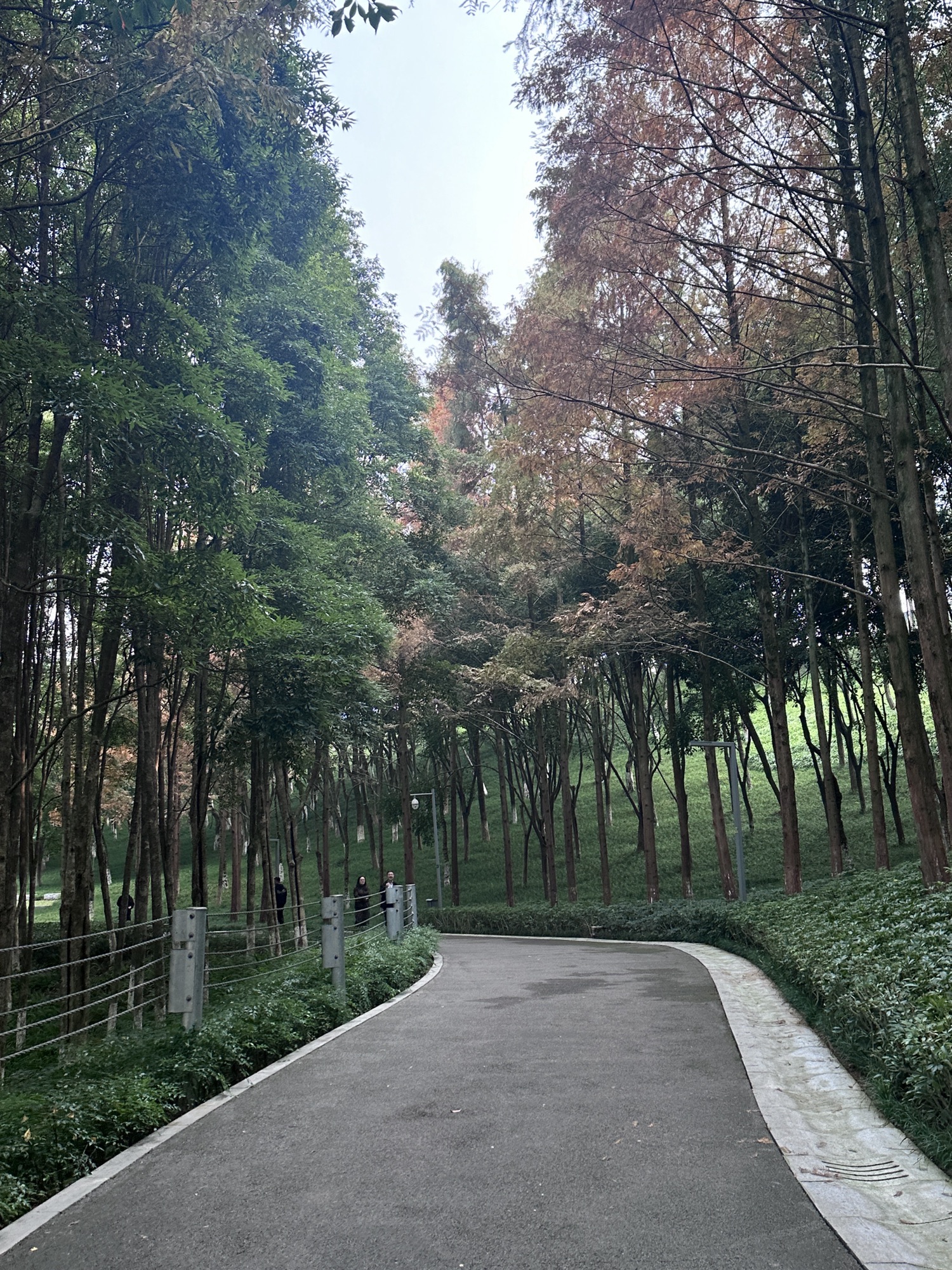 重庆中央公园旅行图片 2