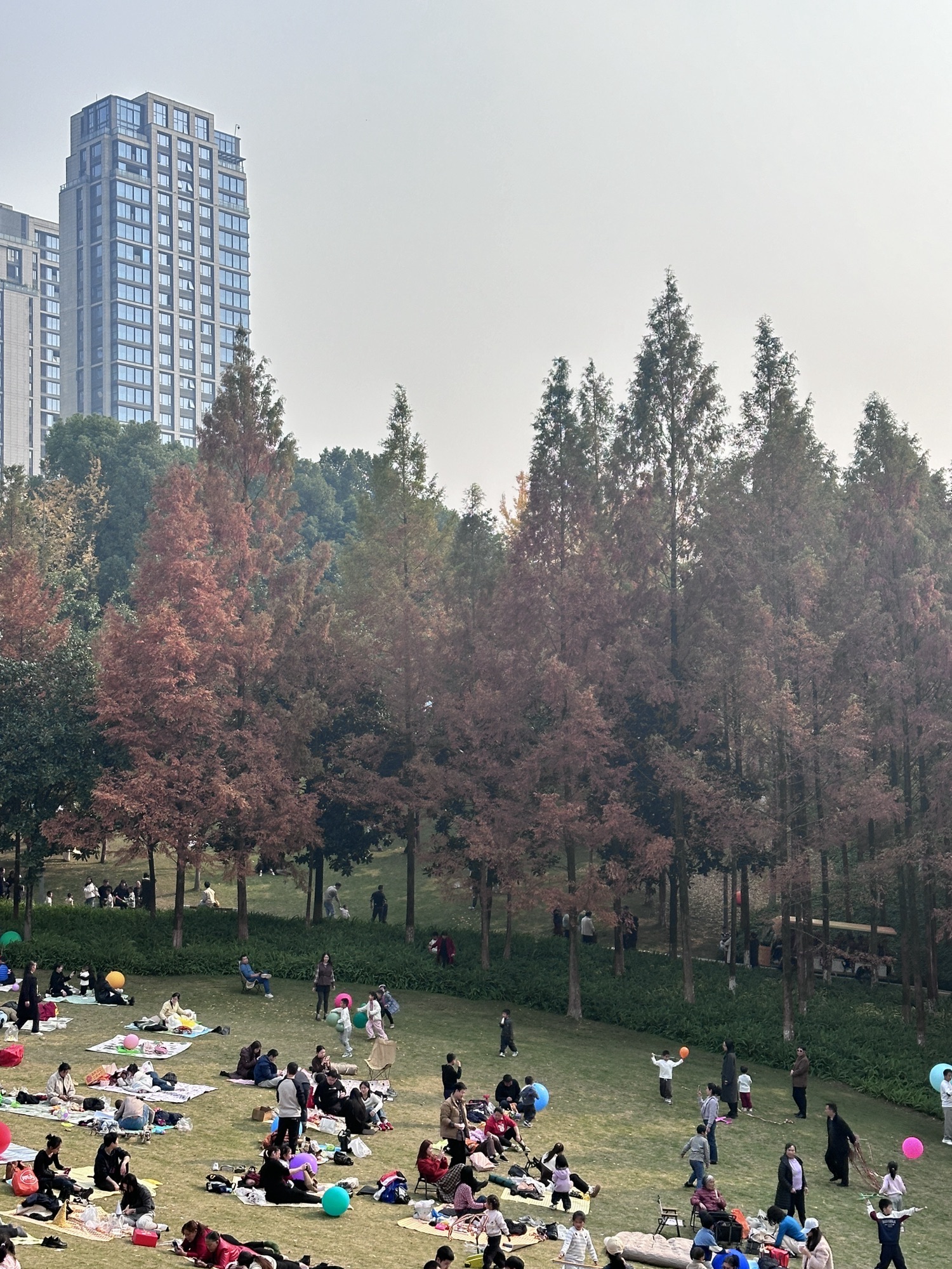 重庆中央公园旅行图片 3