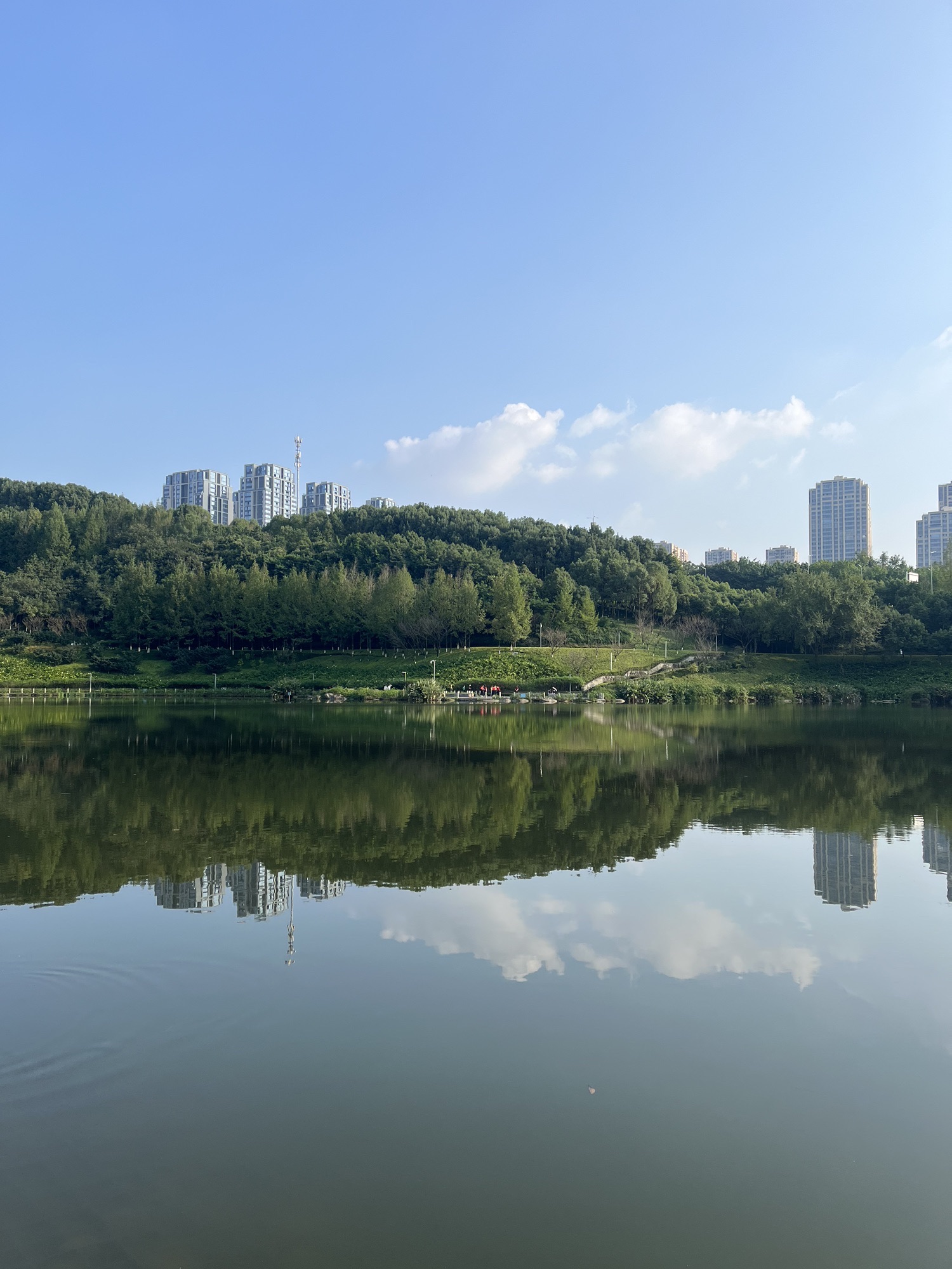 重庆中央公园旅行图片 1