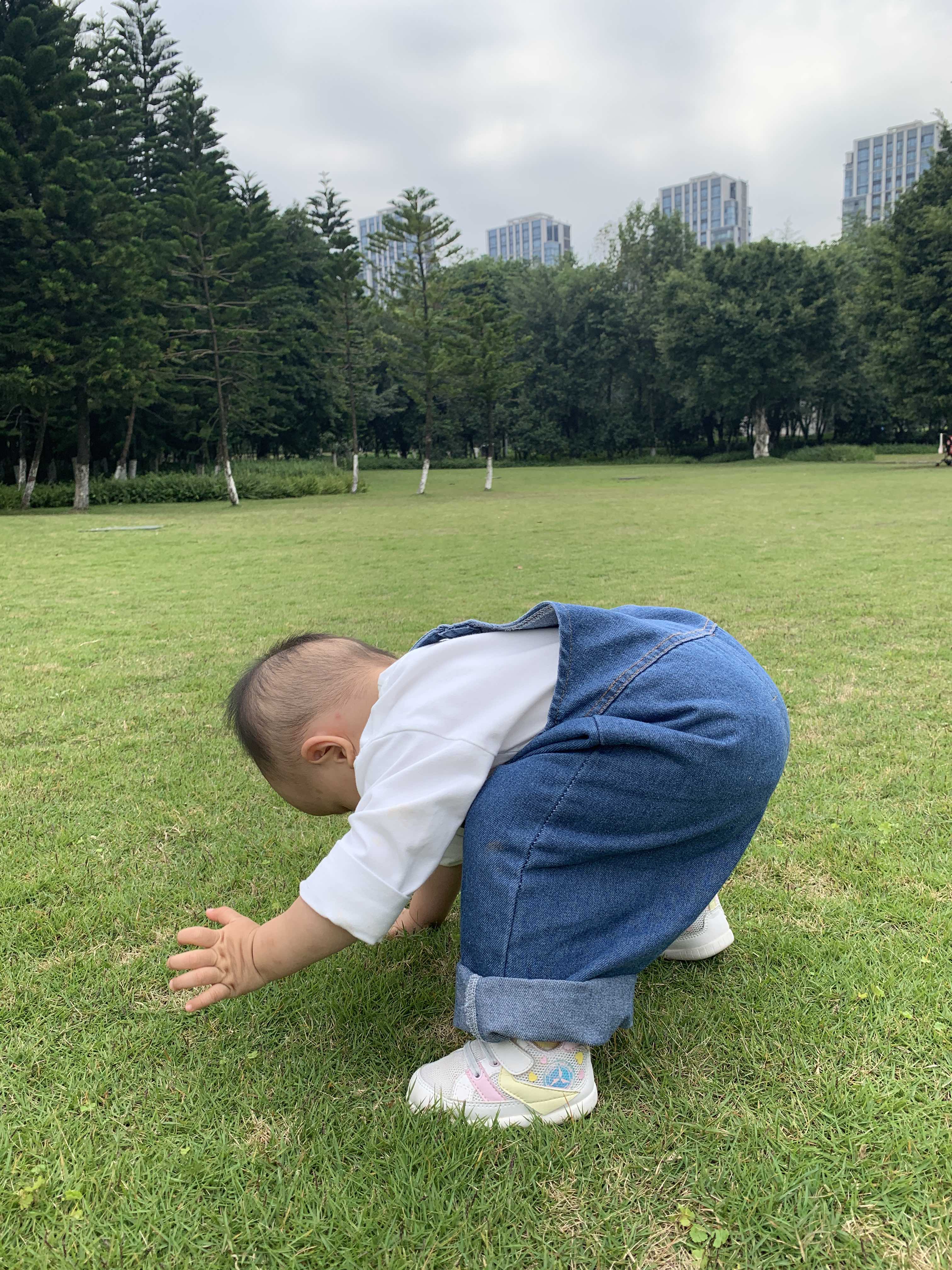 重庆中央公园旅行图片 3